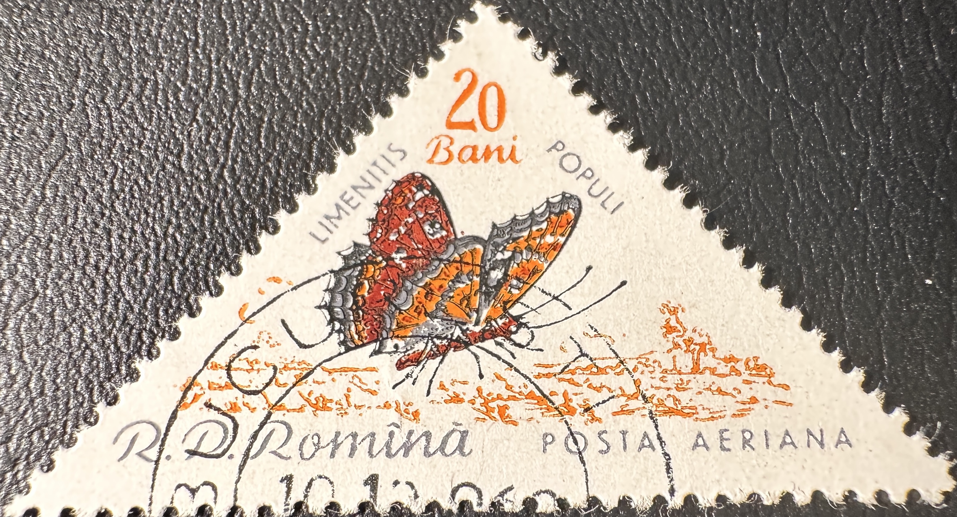 Butterfly 20