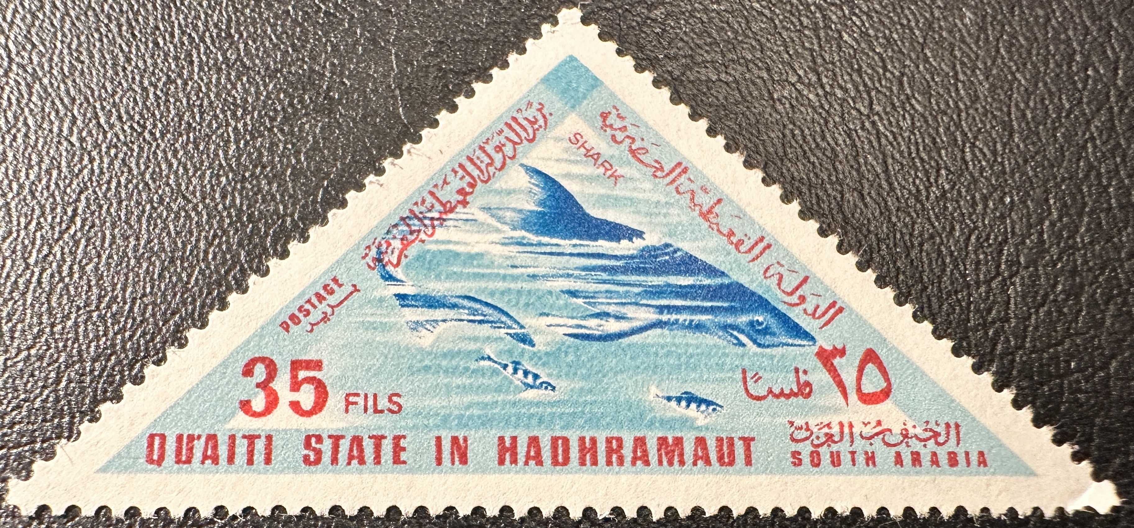 Sharks ( date?)