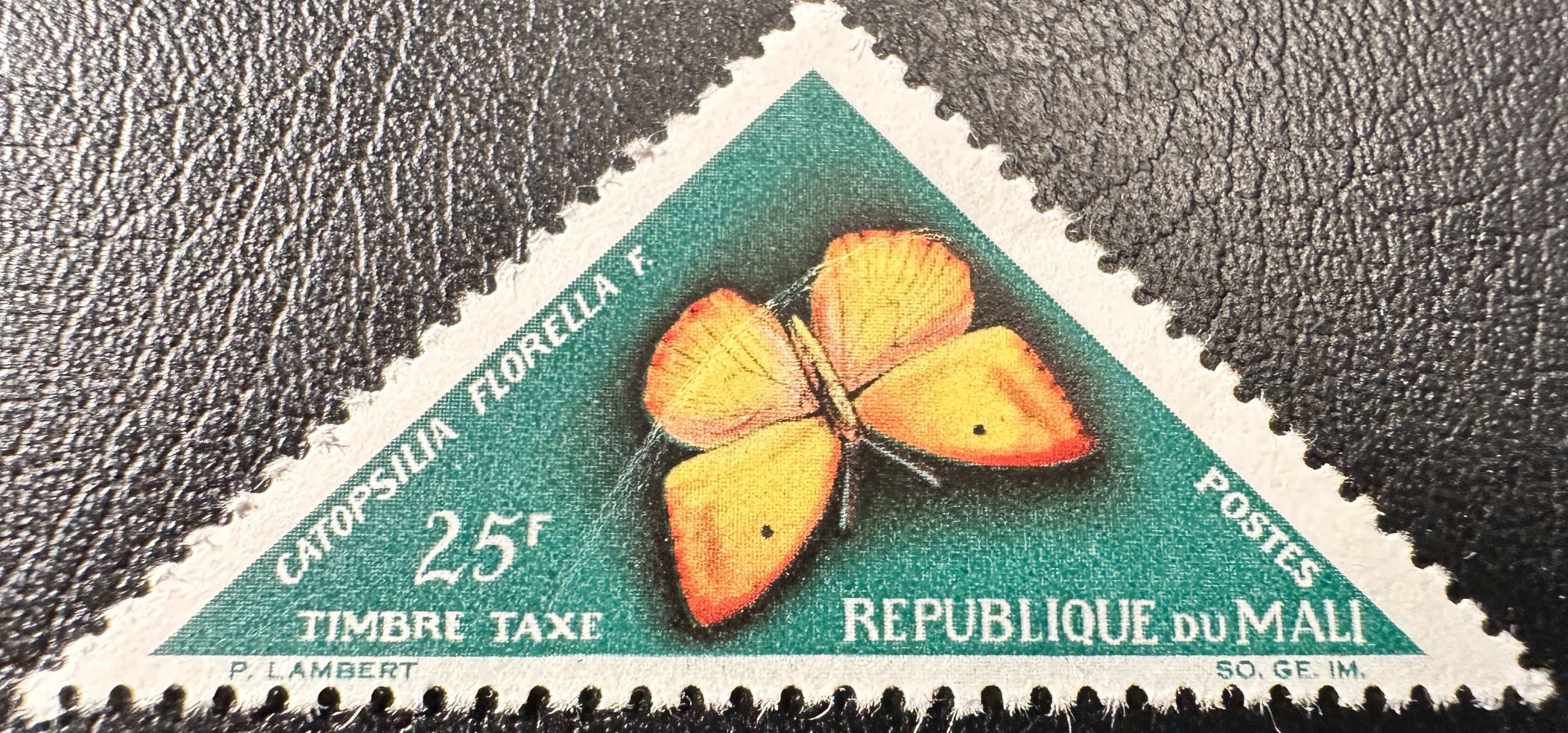 Mali Butterfly 25