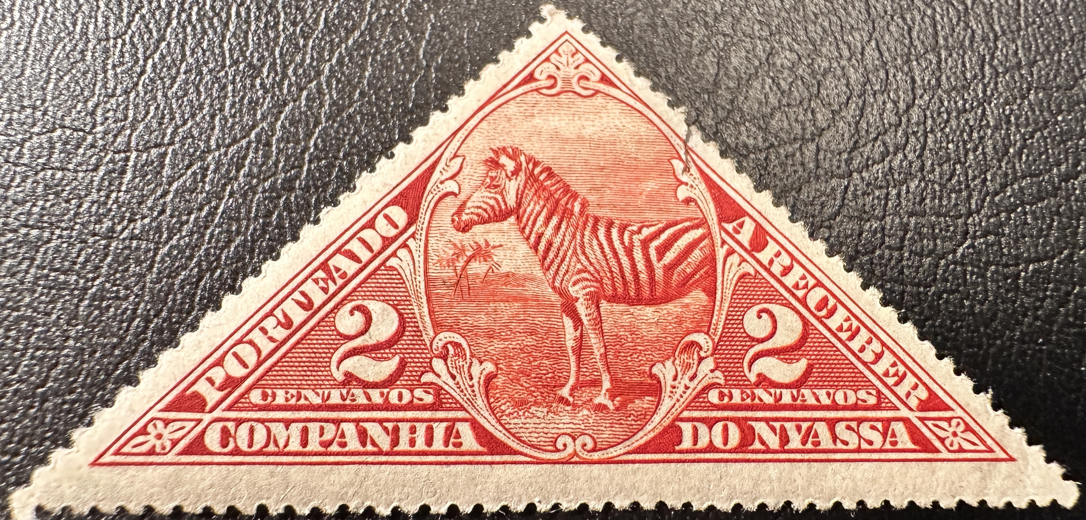 Zebra 2