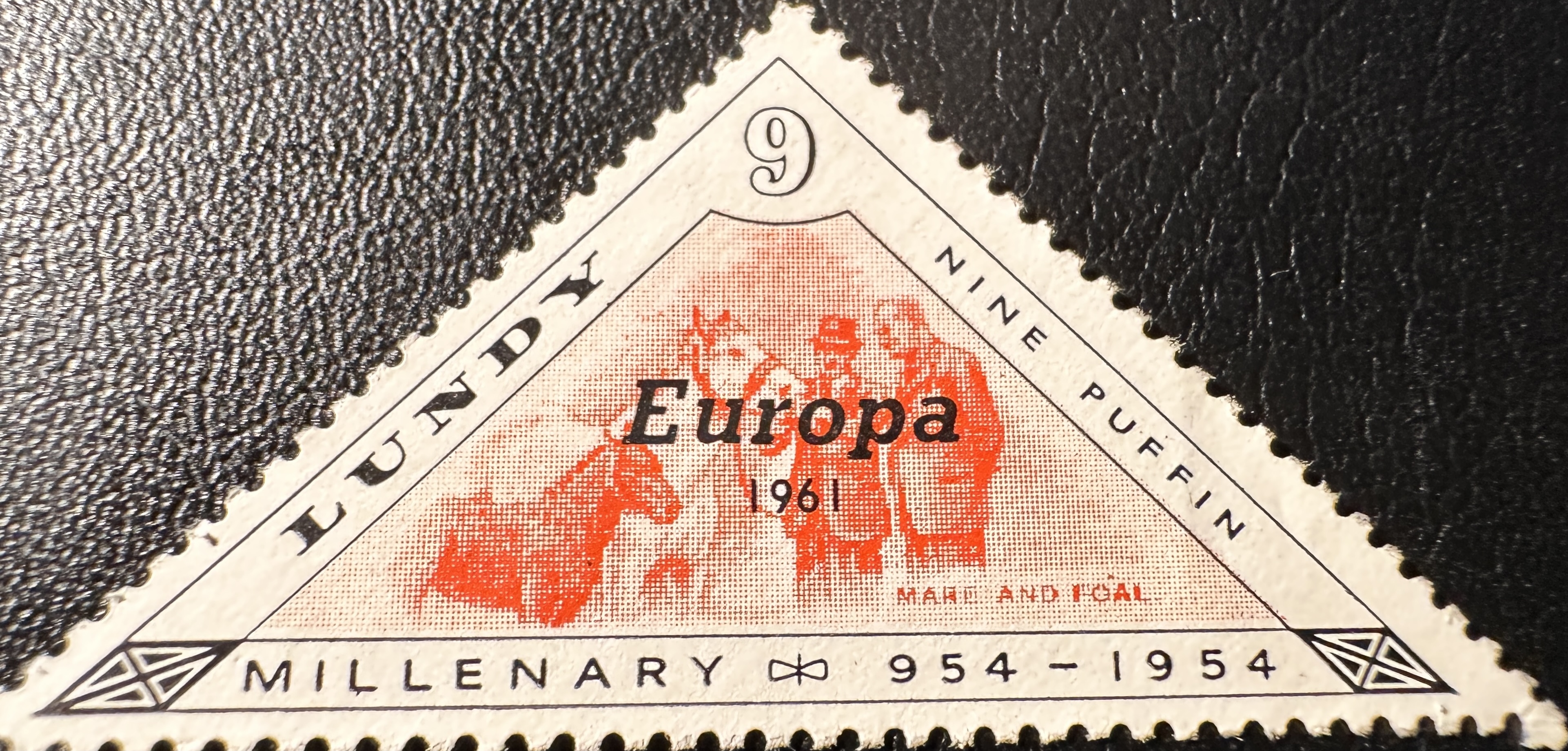 Foal Europa