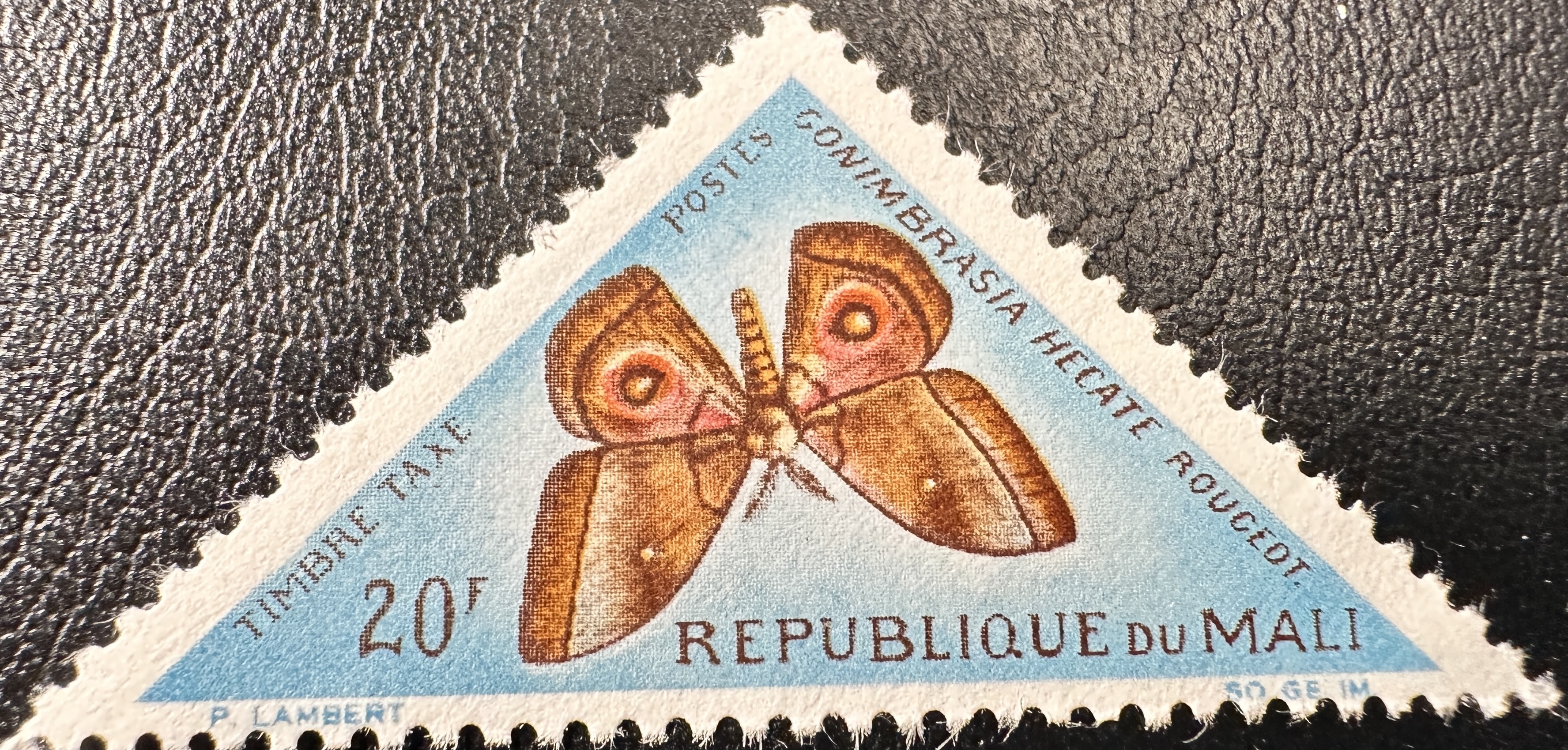 Mali Butterfly 20