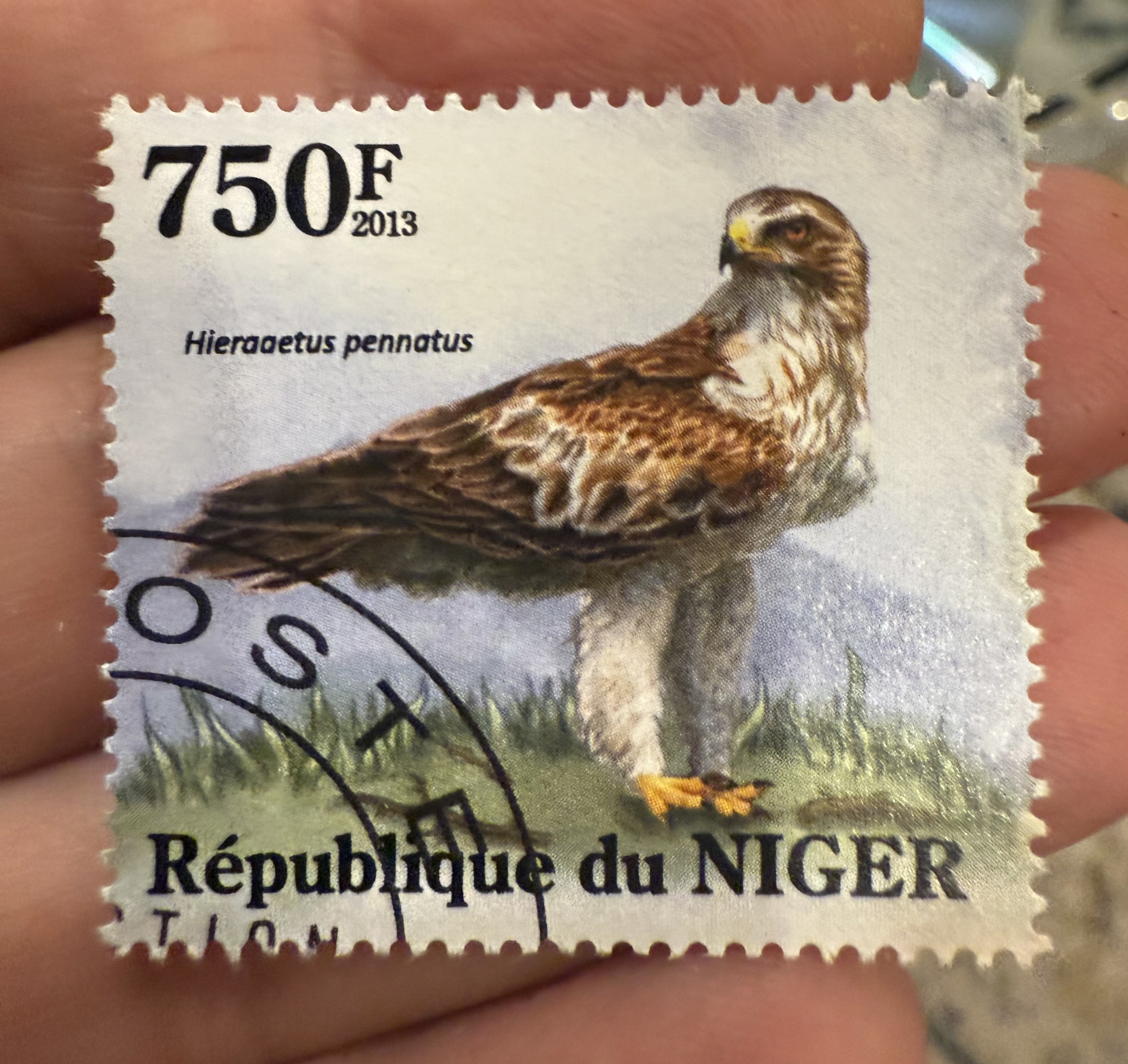 Booted Eagle (Hieraaetus pennatus) République du Niger, 750 F, 2013