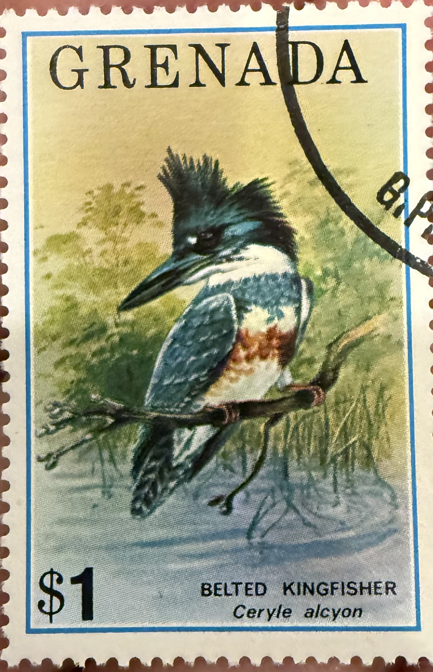 Grenada 1975 Belted Kingfisher