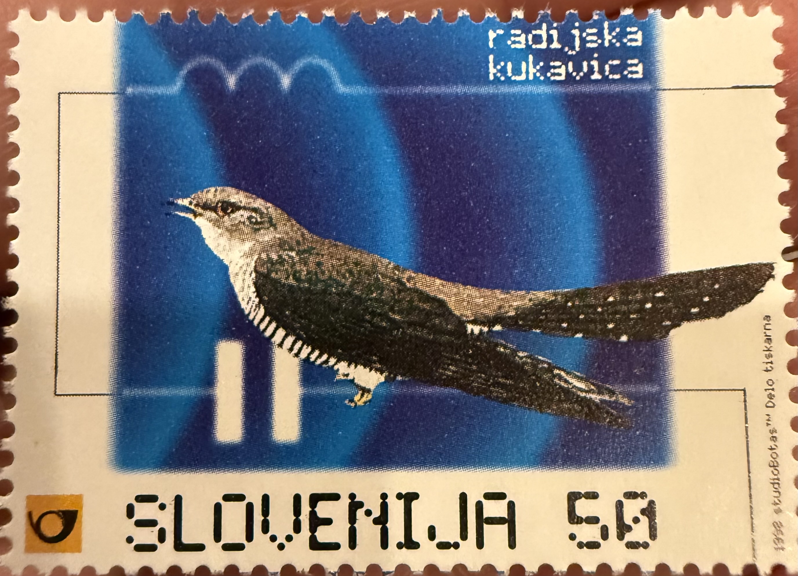 Common Cuckoo, 1993, Slovenia