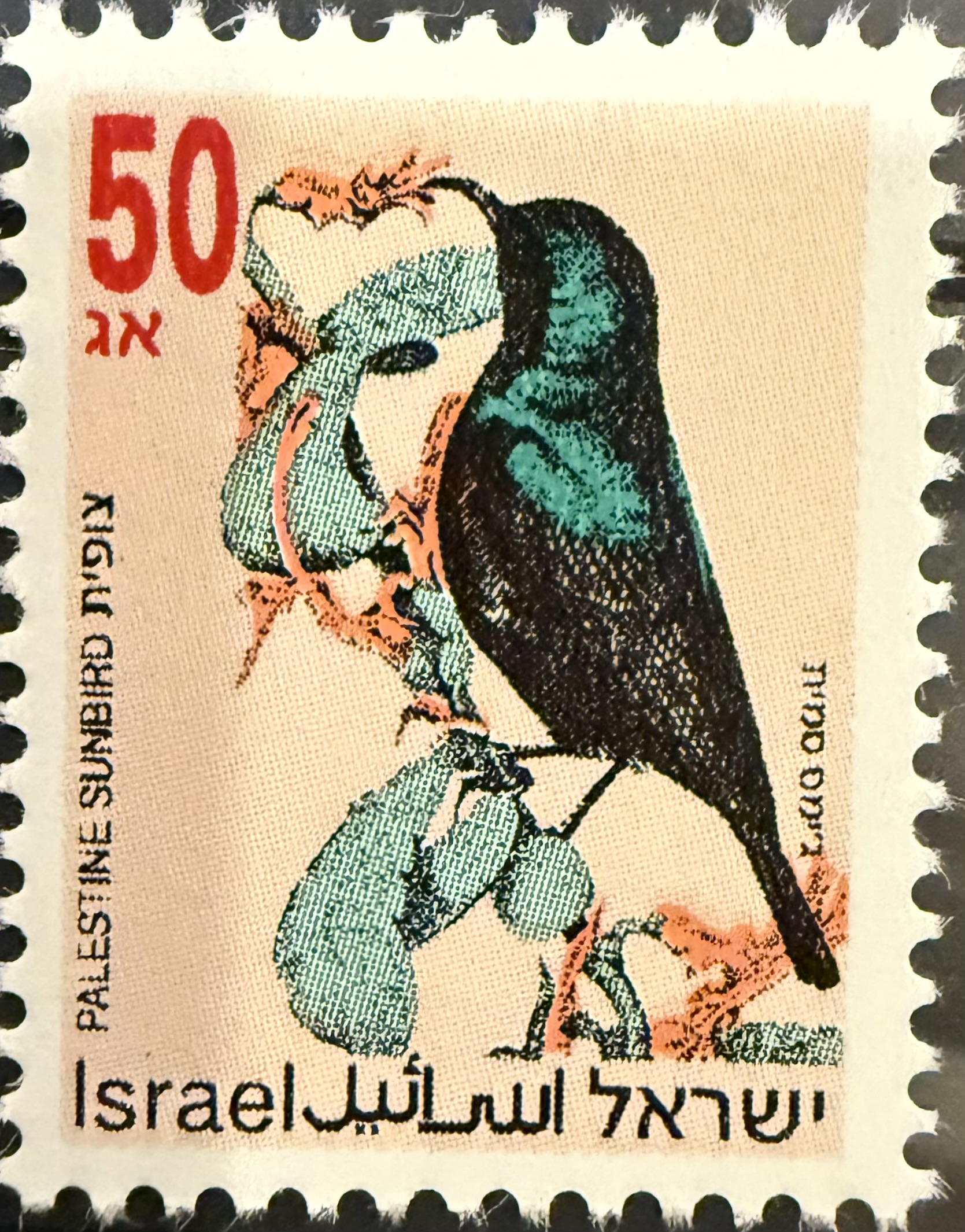Palestine Sunbird (Cinnyris osea) — Israel, 1992