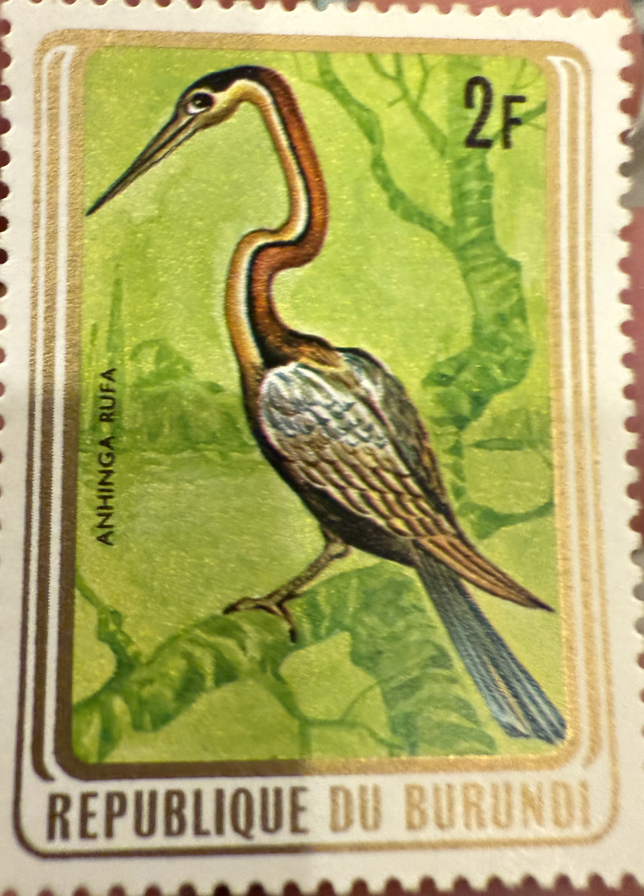 Anhinga rufa, Burundi, 1965