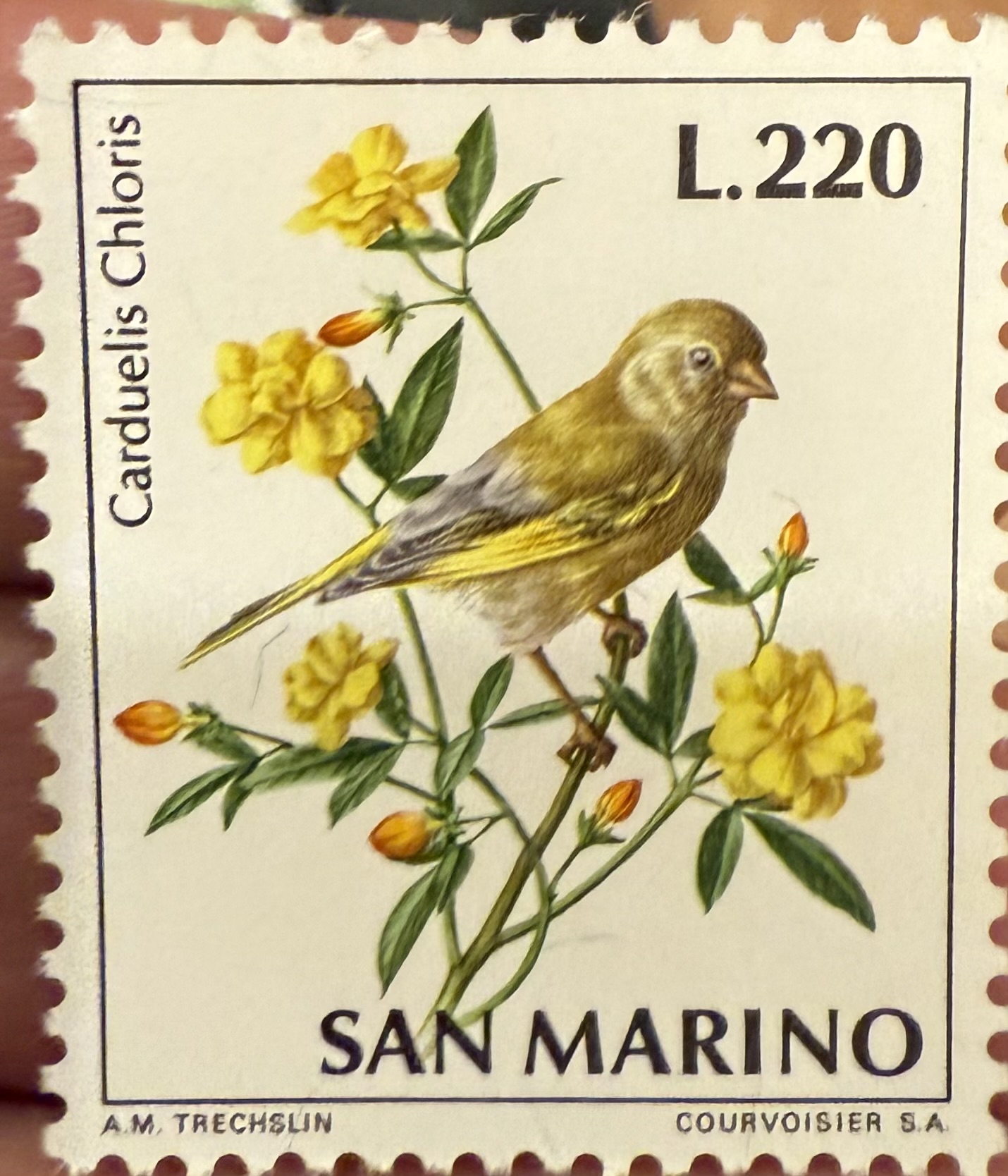 San Marino 1995 European Greenfinch