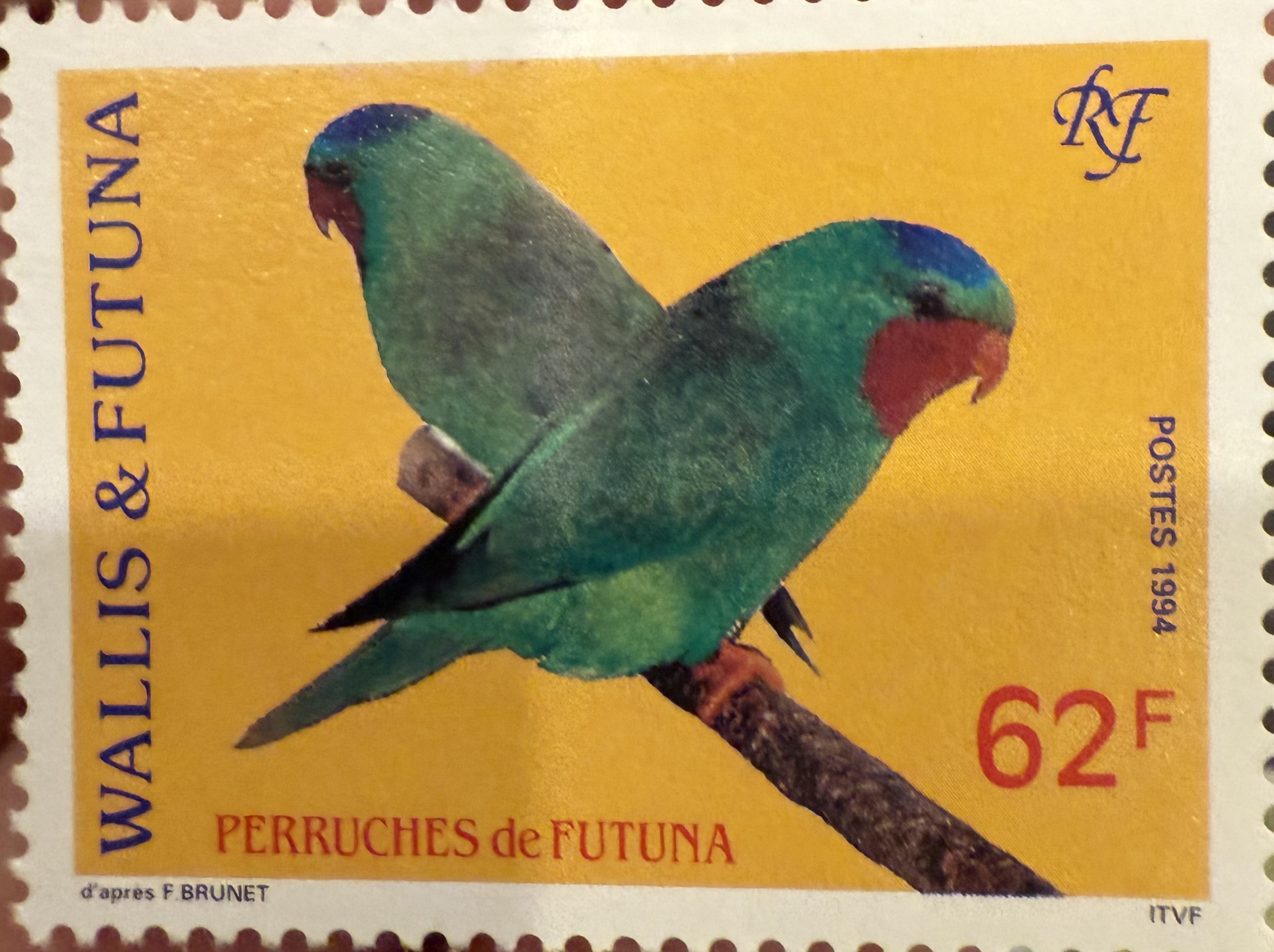 Blue-crowned Lorikeet, 1994, Wallis & Futuna