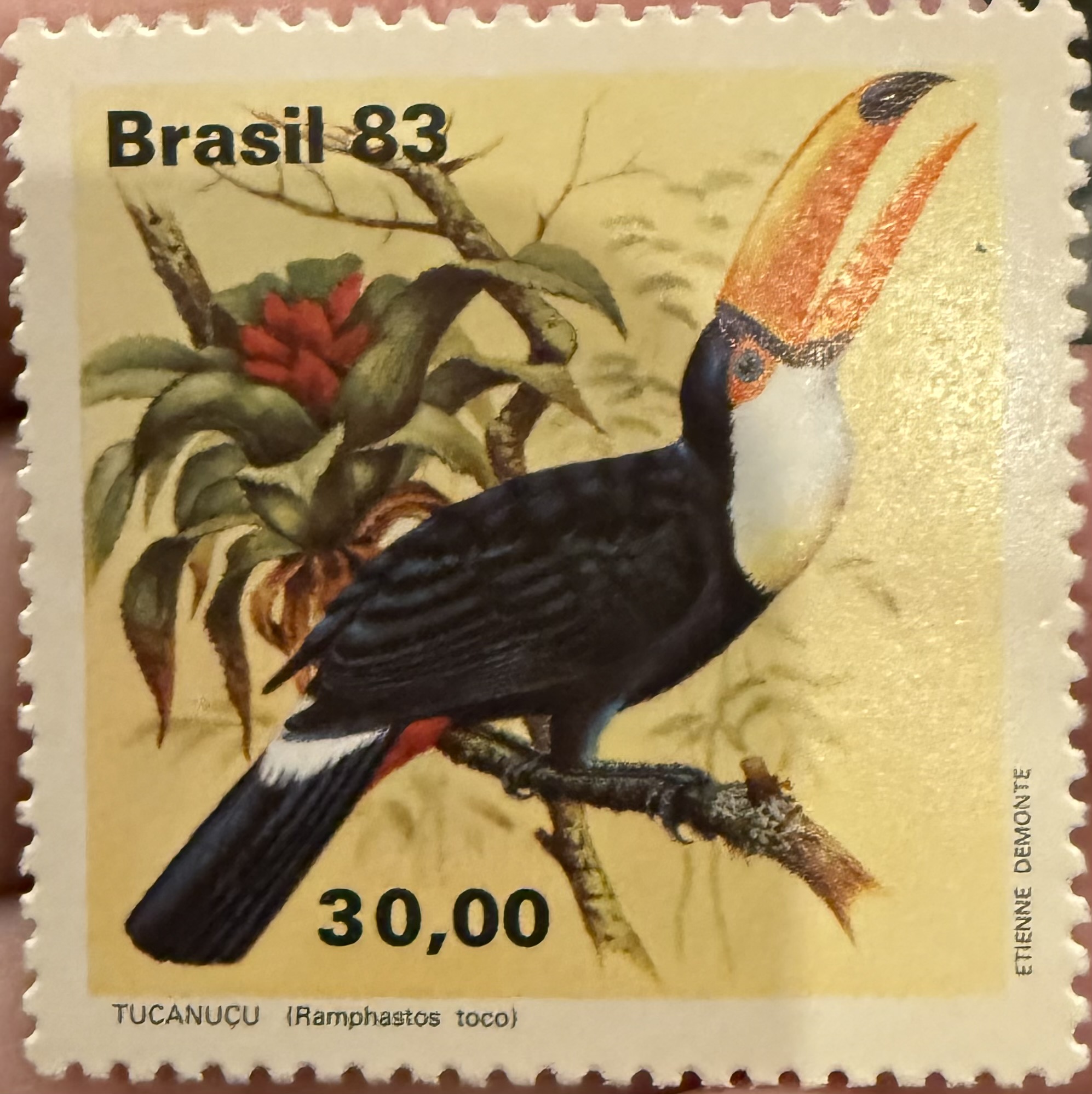 1983 Brazil – Toco Toucan