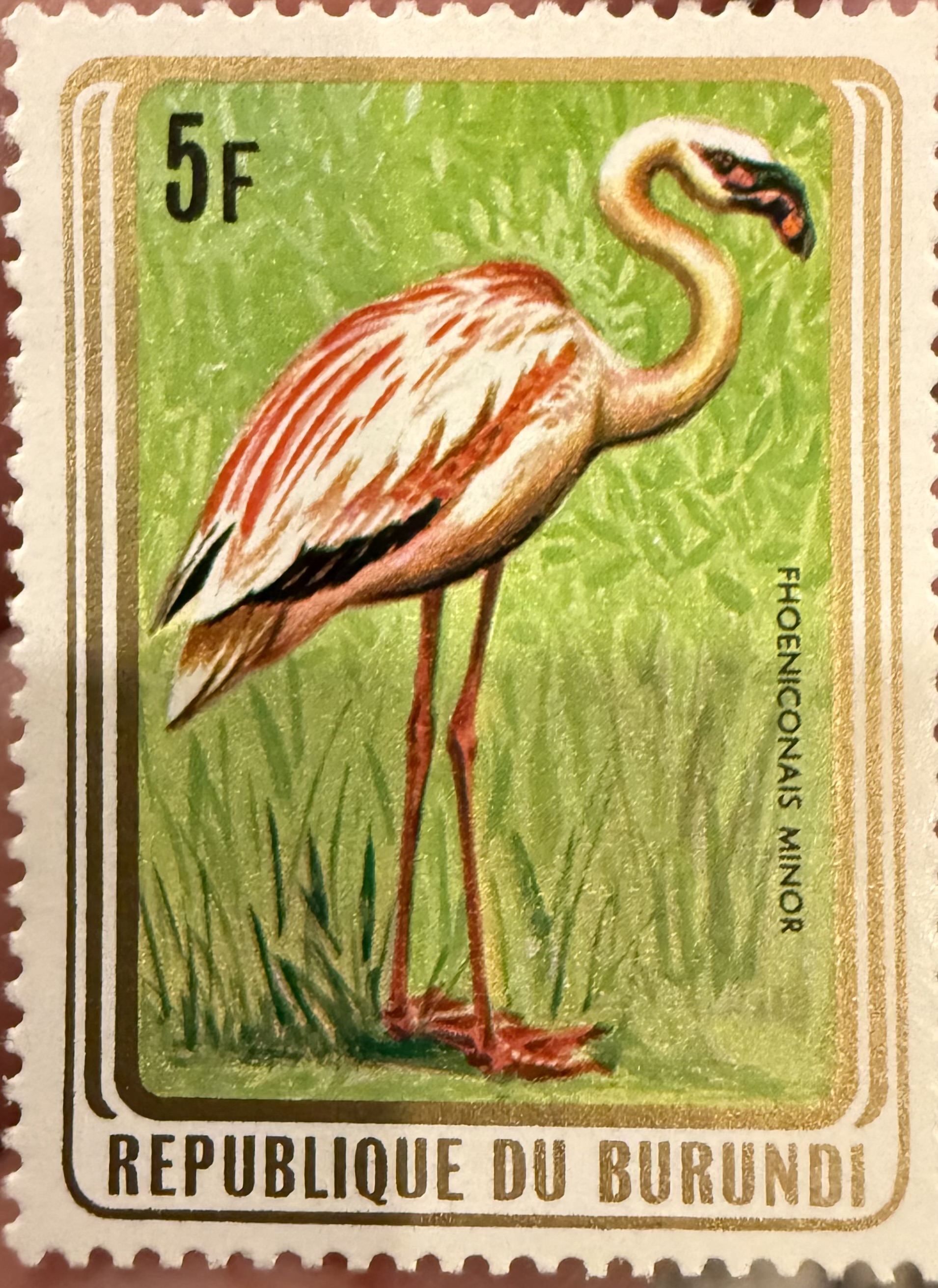 Lesser Flamingo, 1965, Burundi