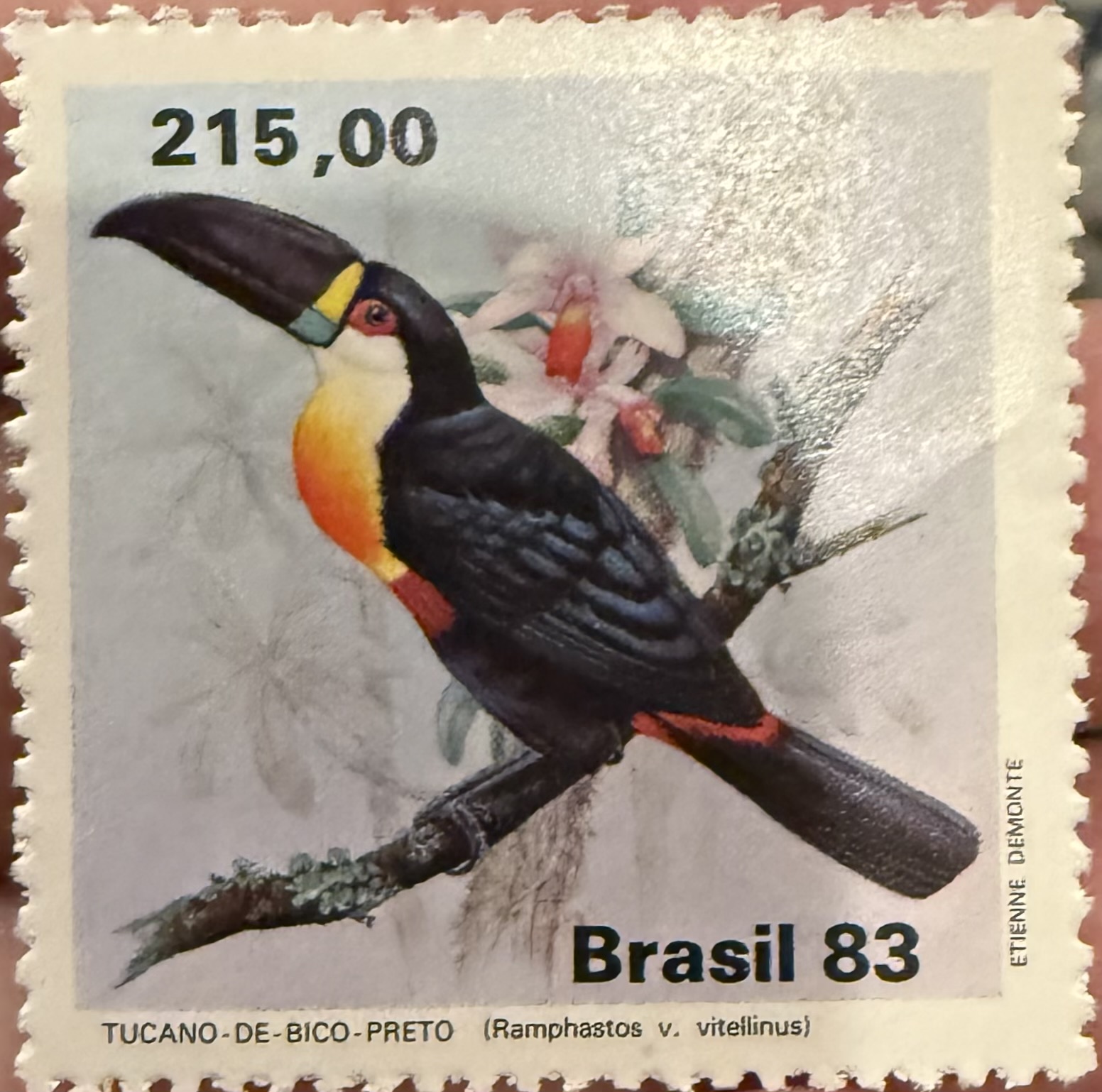 1983 Brazil – Channel-billed Toucan