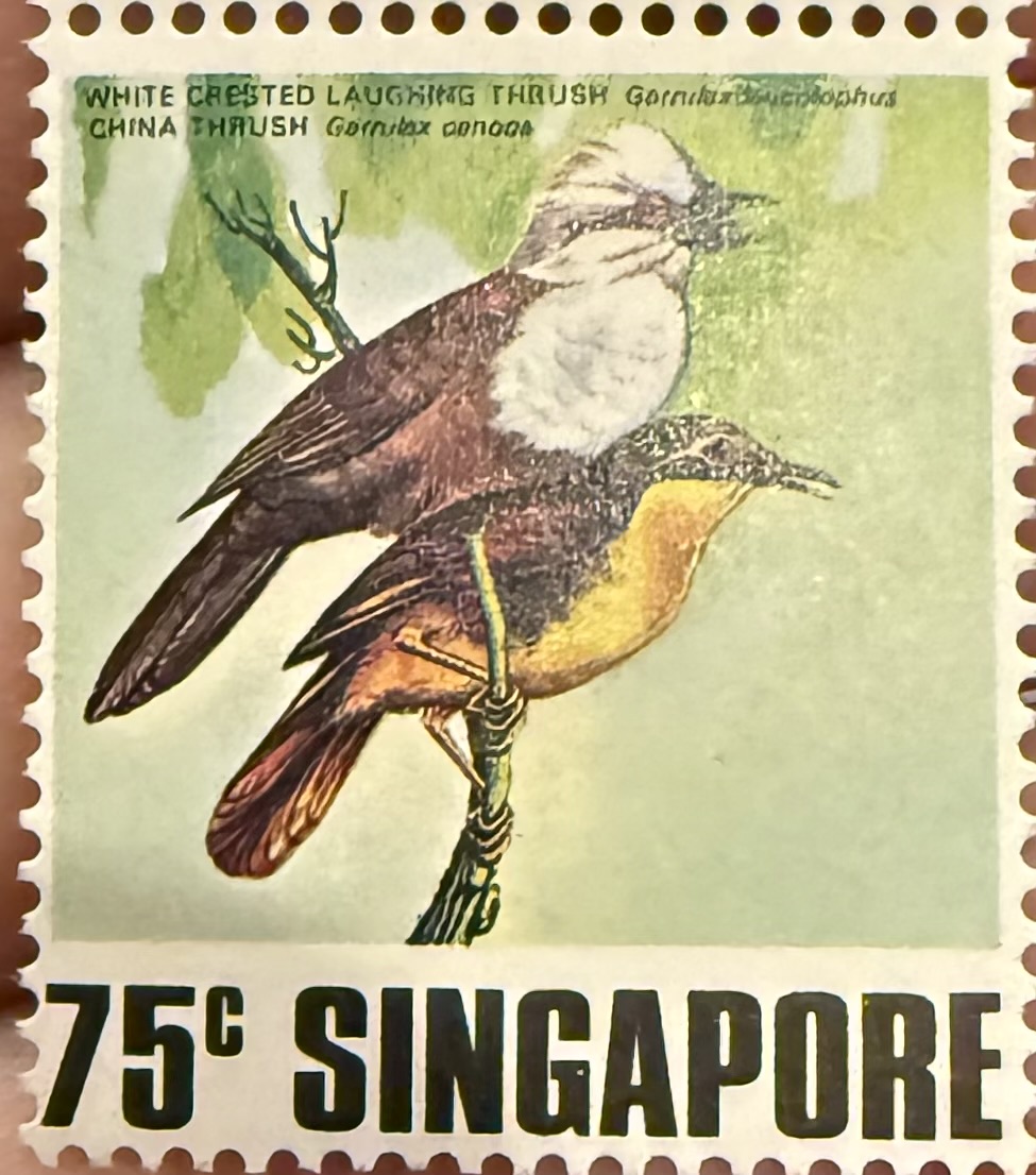 1978 Singapore – White-crested Laughingthrush & China Thrush