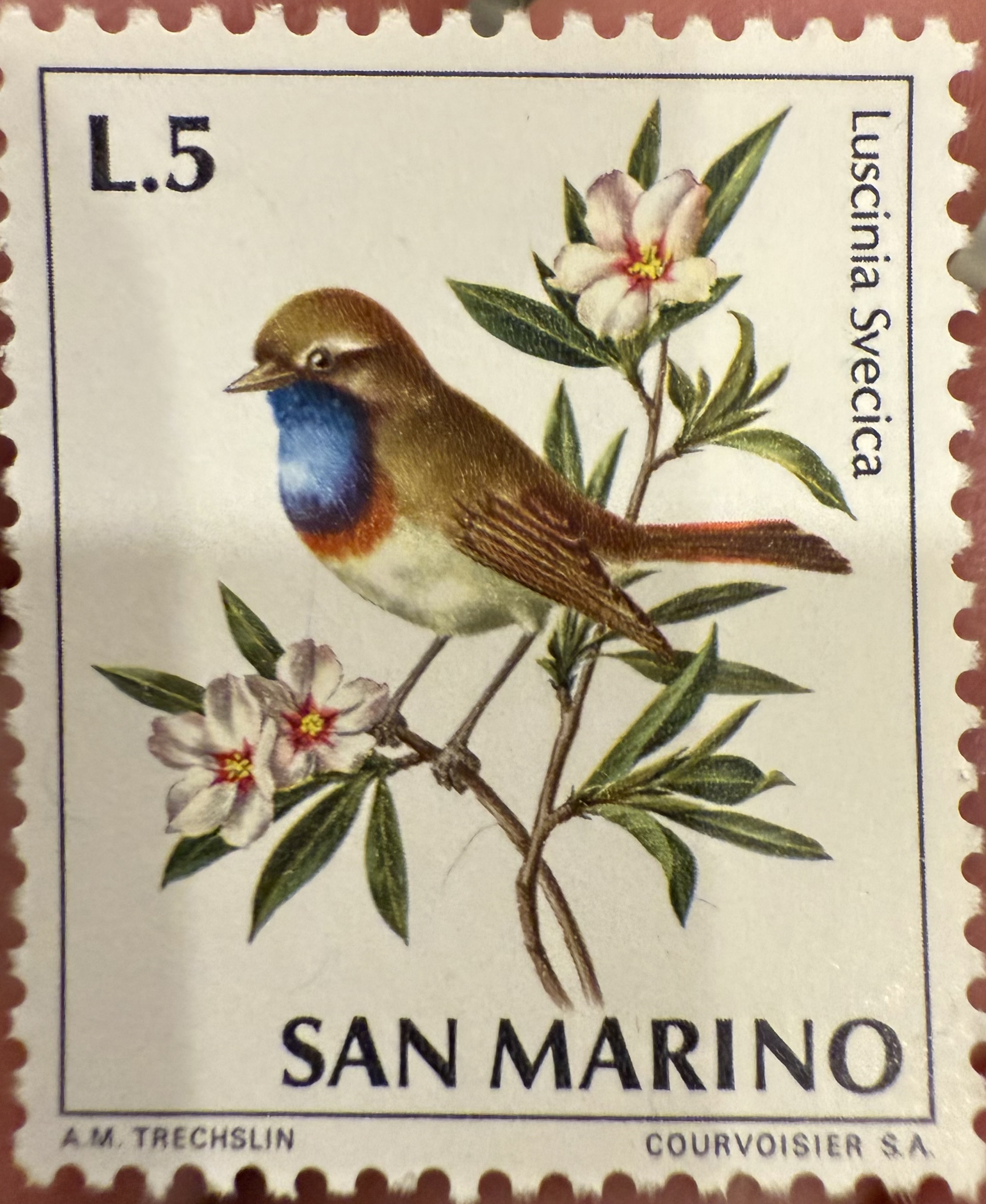 Bluethroat, 1966, San Marino