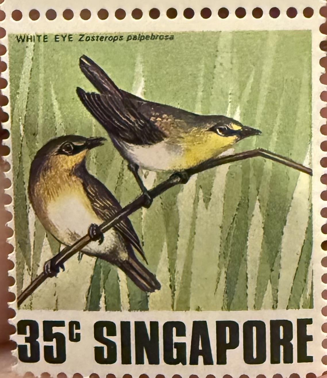 1978 Singapore – Oriental White-eye