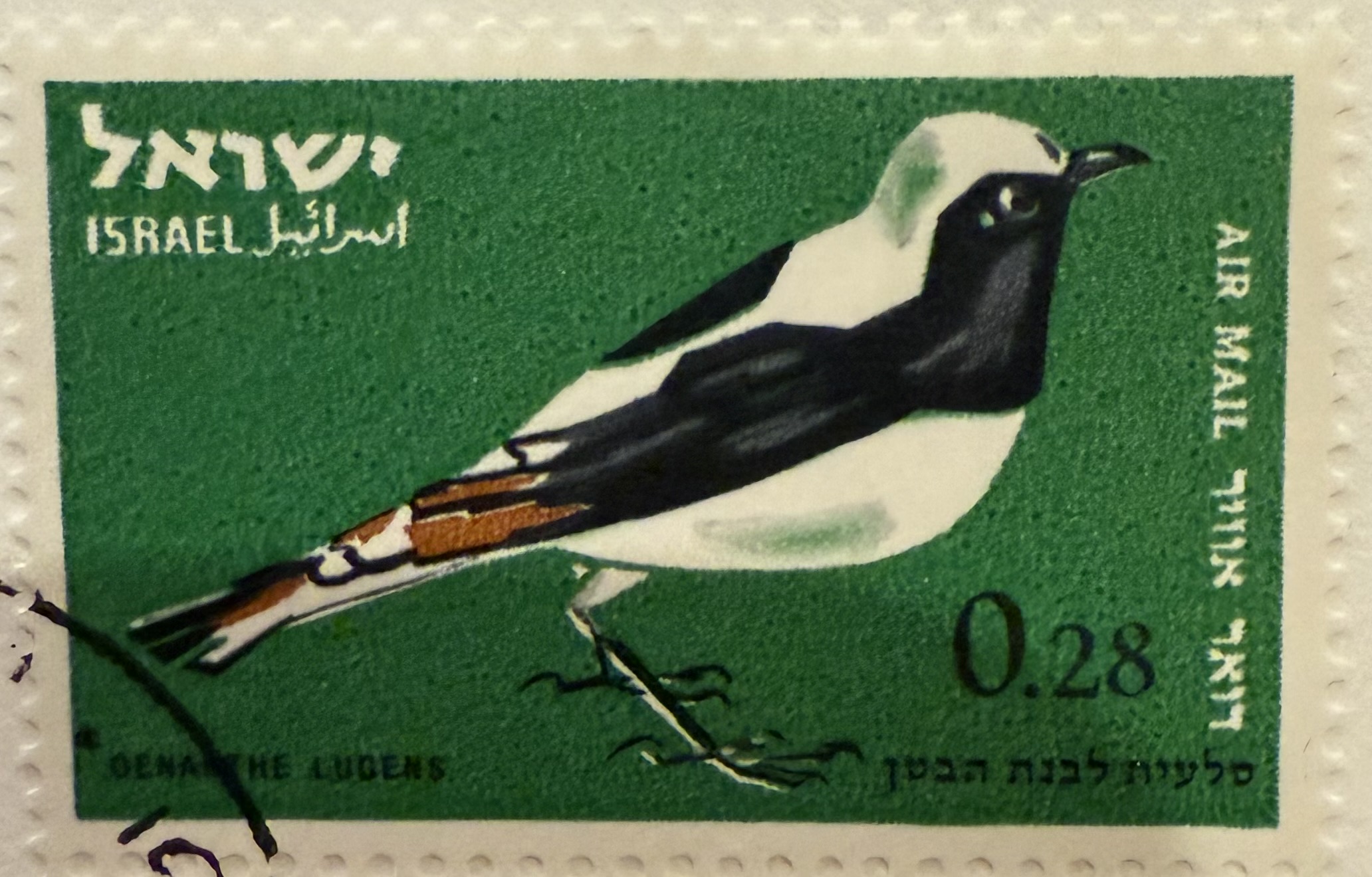 1963 Israel – Mourning Wheatear