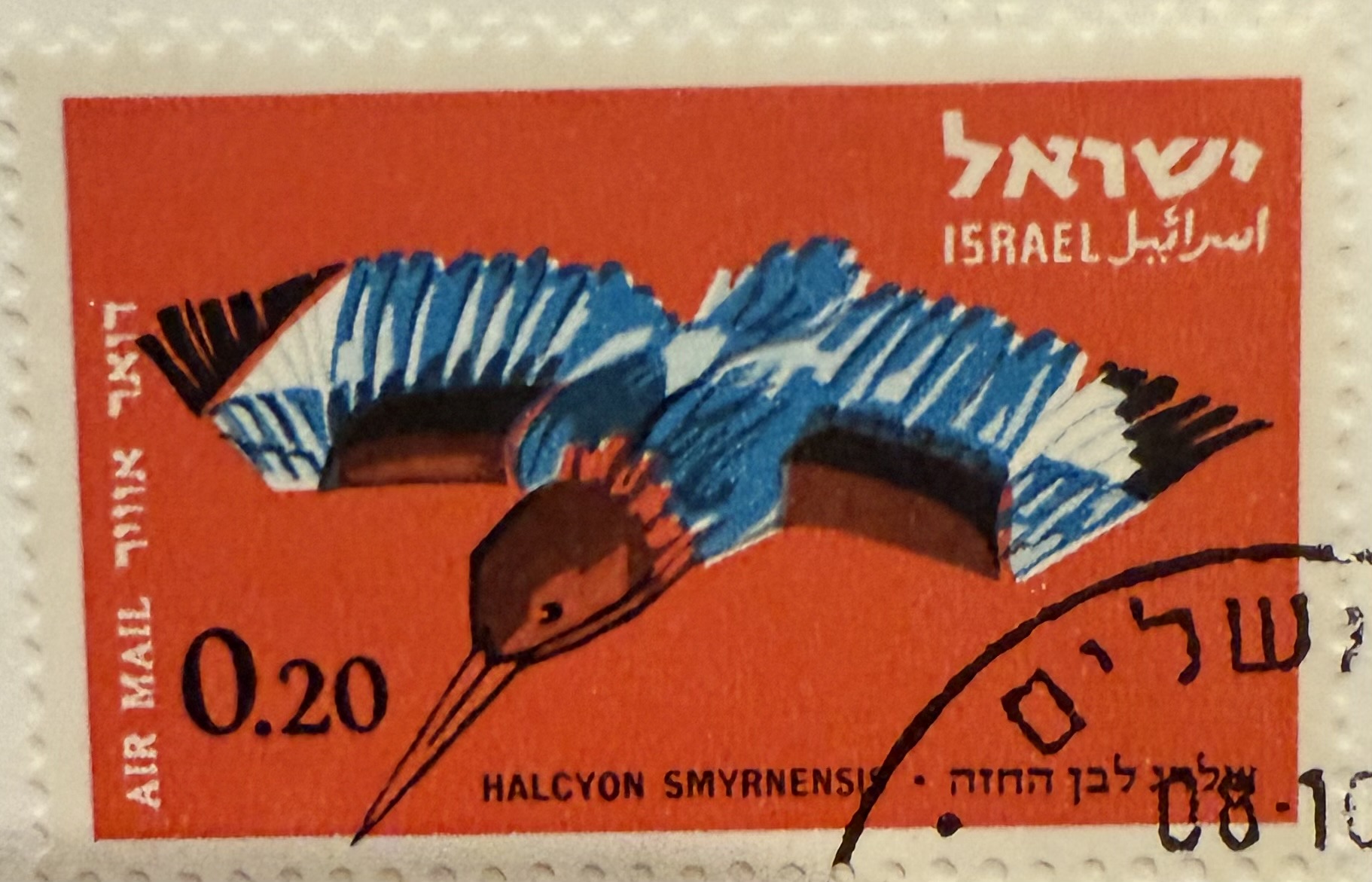 1963 Israel – White-throated Kingfisher