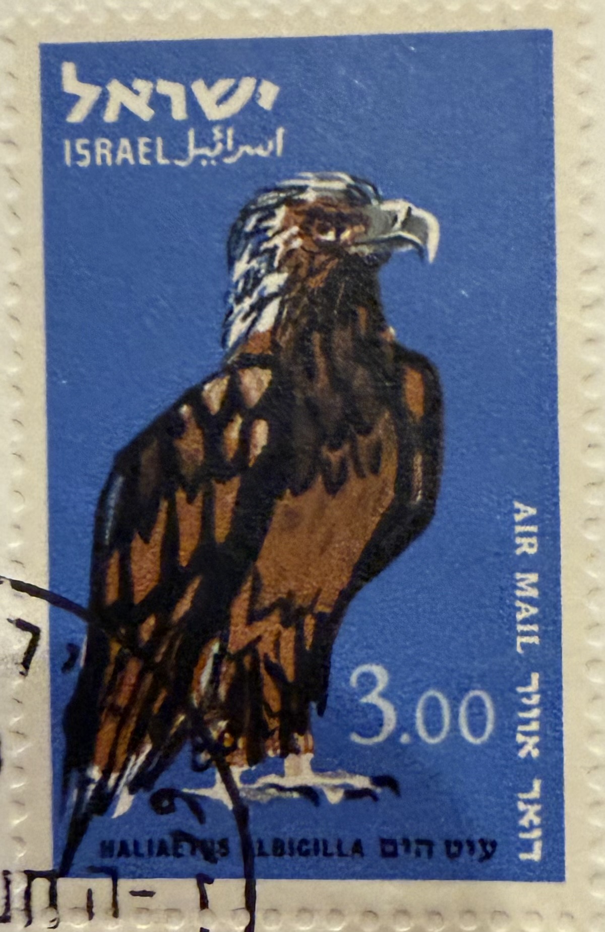 1963 Israel – White-tailed Eagle