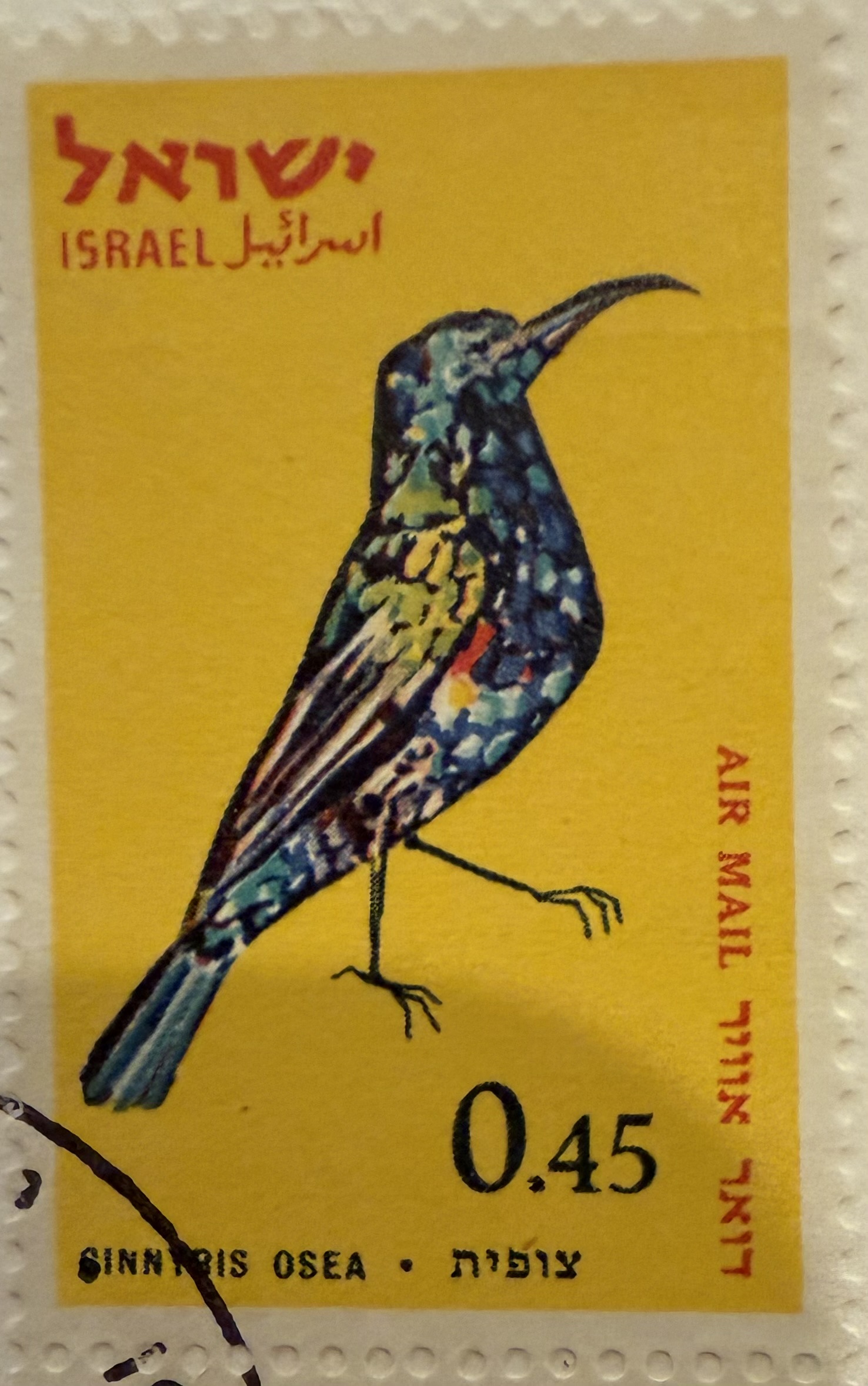 1963 Israel – Palestine Sunbird