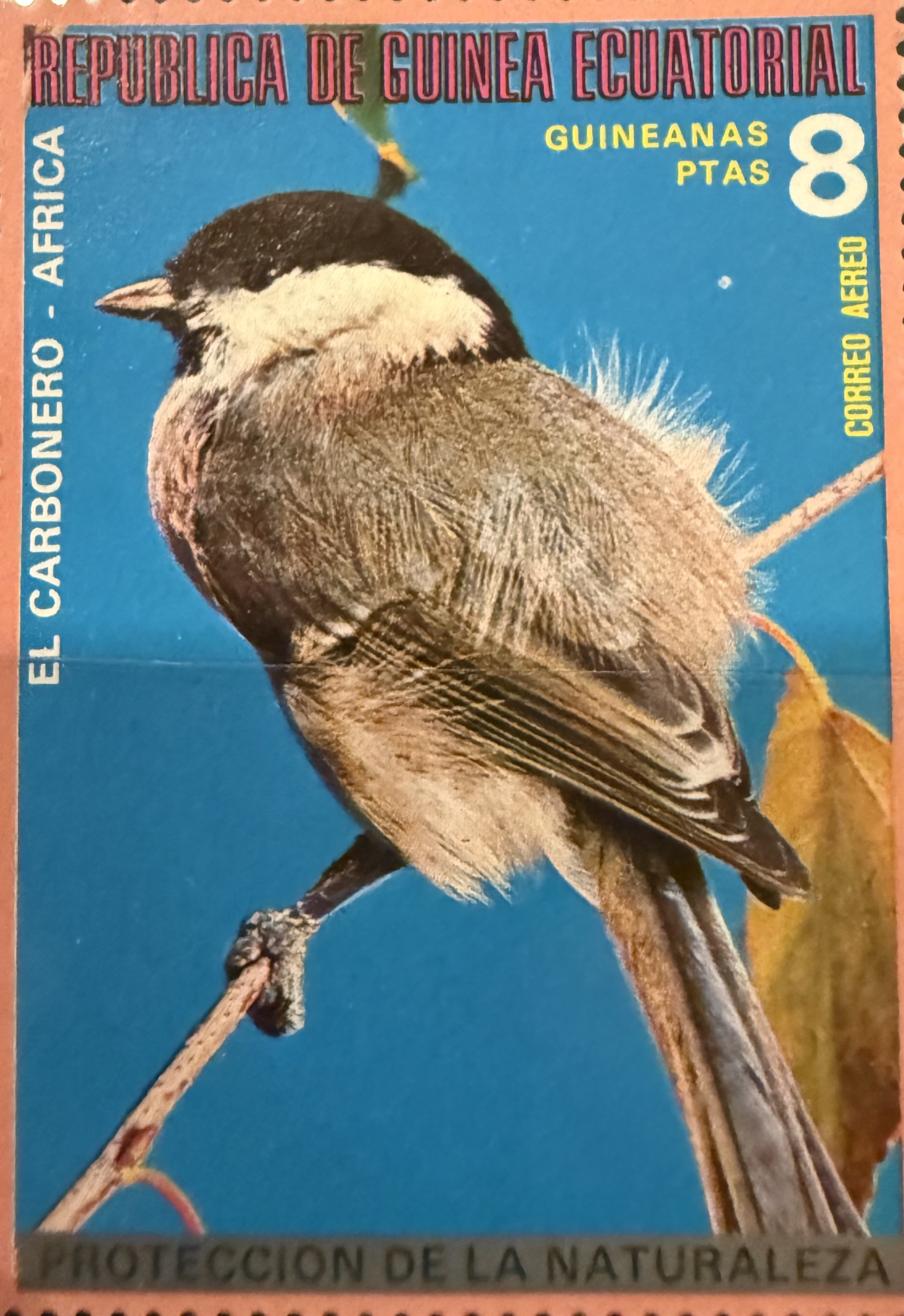 EQ Great Tit