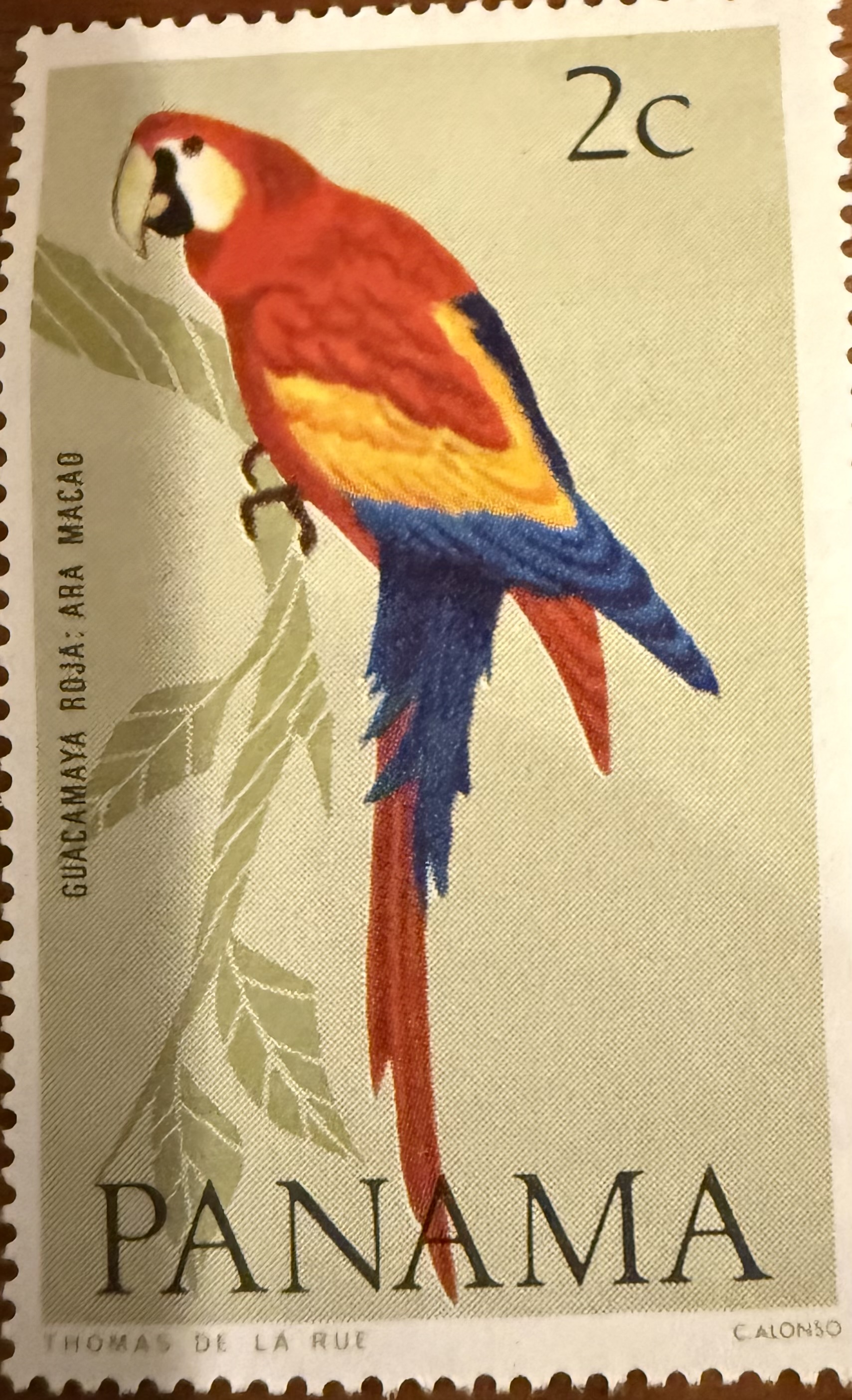 1965 Scarlet Macaw Panama