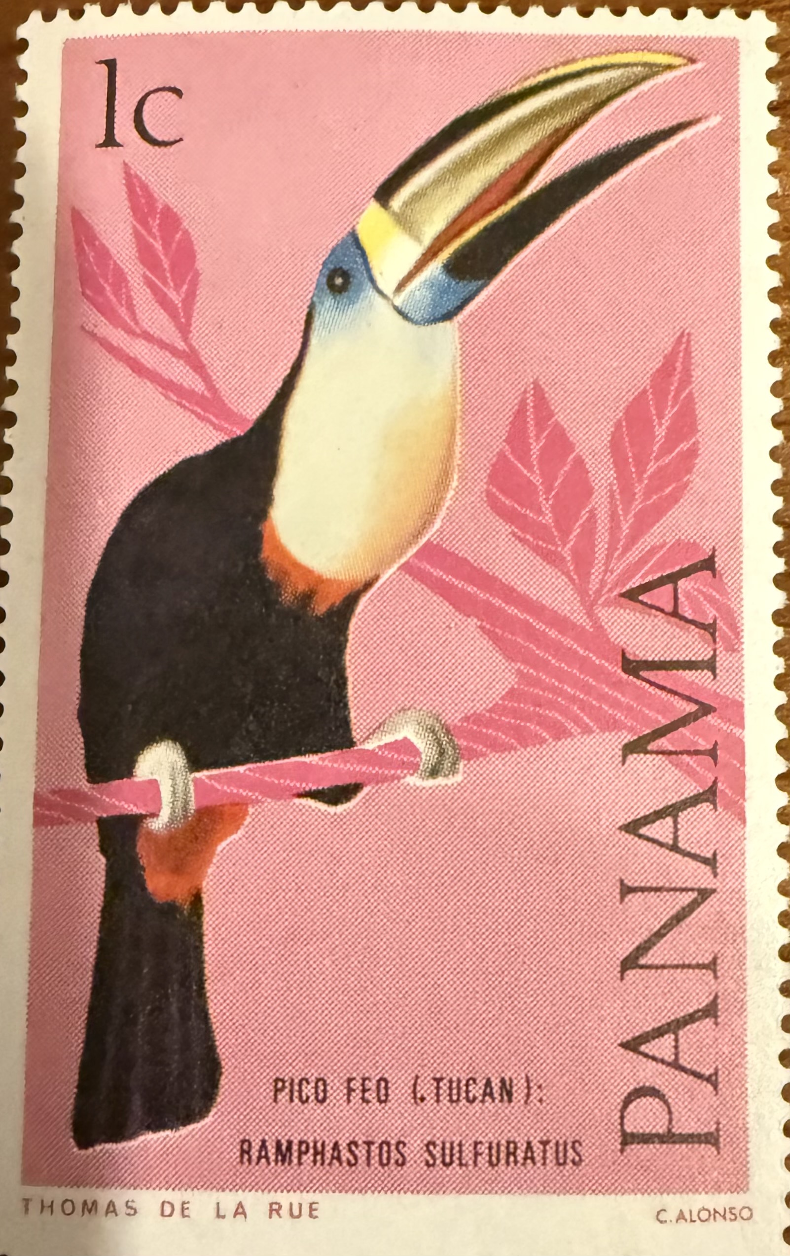 1965 Keel Billed Toucan Panama