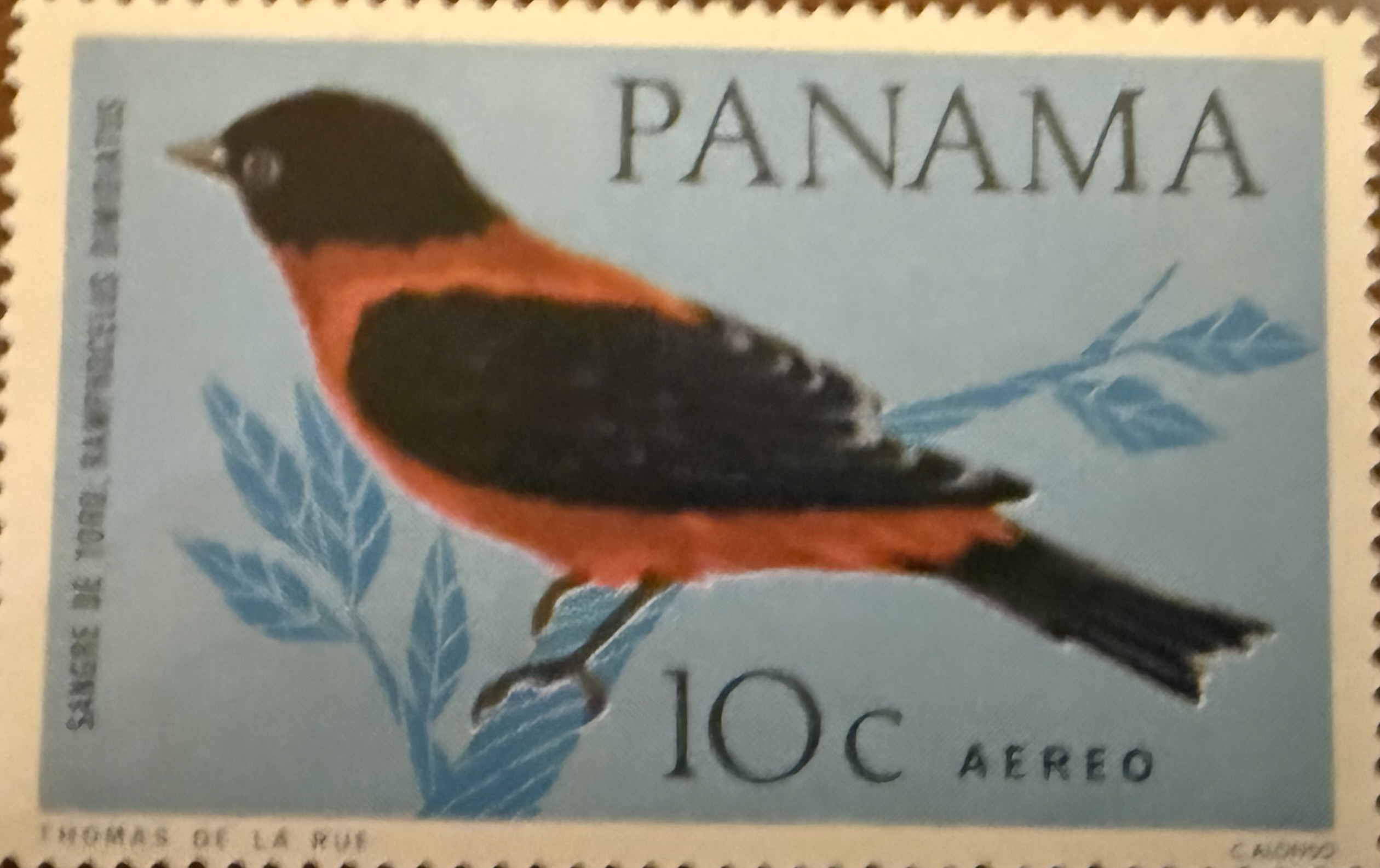 1965 Crimson Backed Tanager Panama