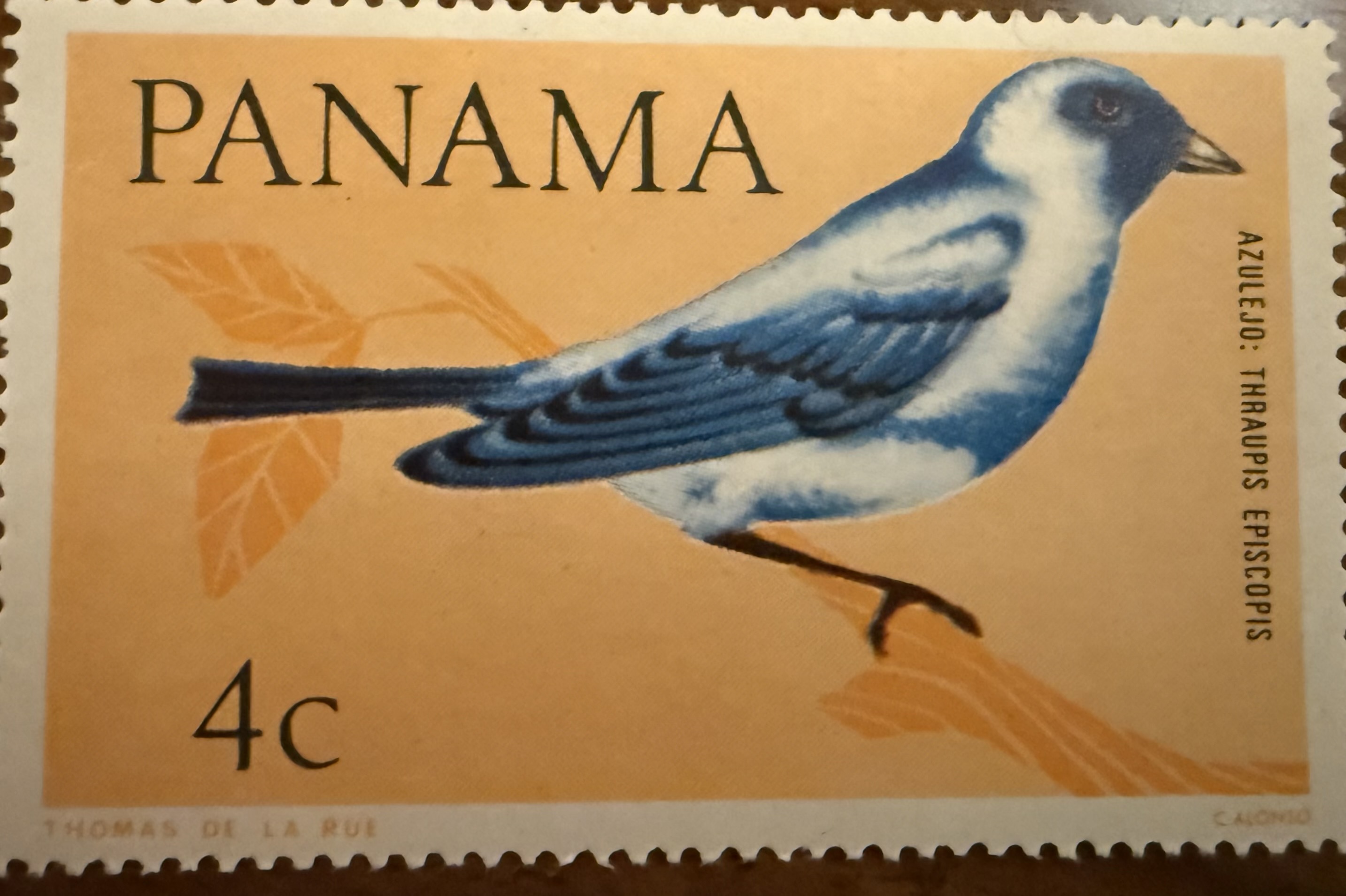 1965 Blue Grey Tanager