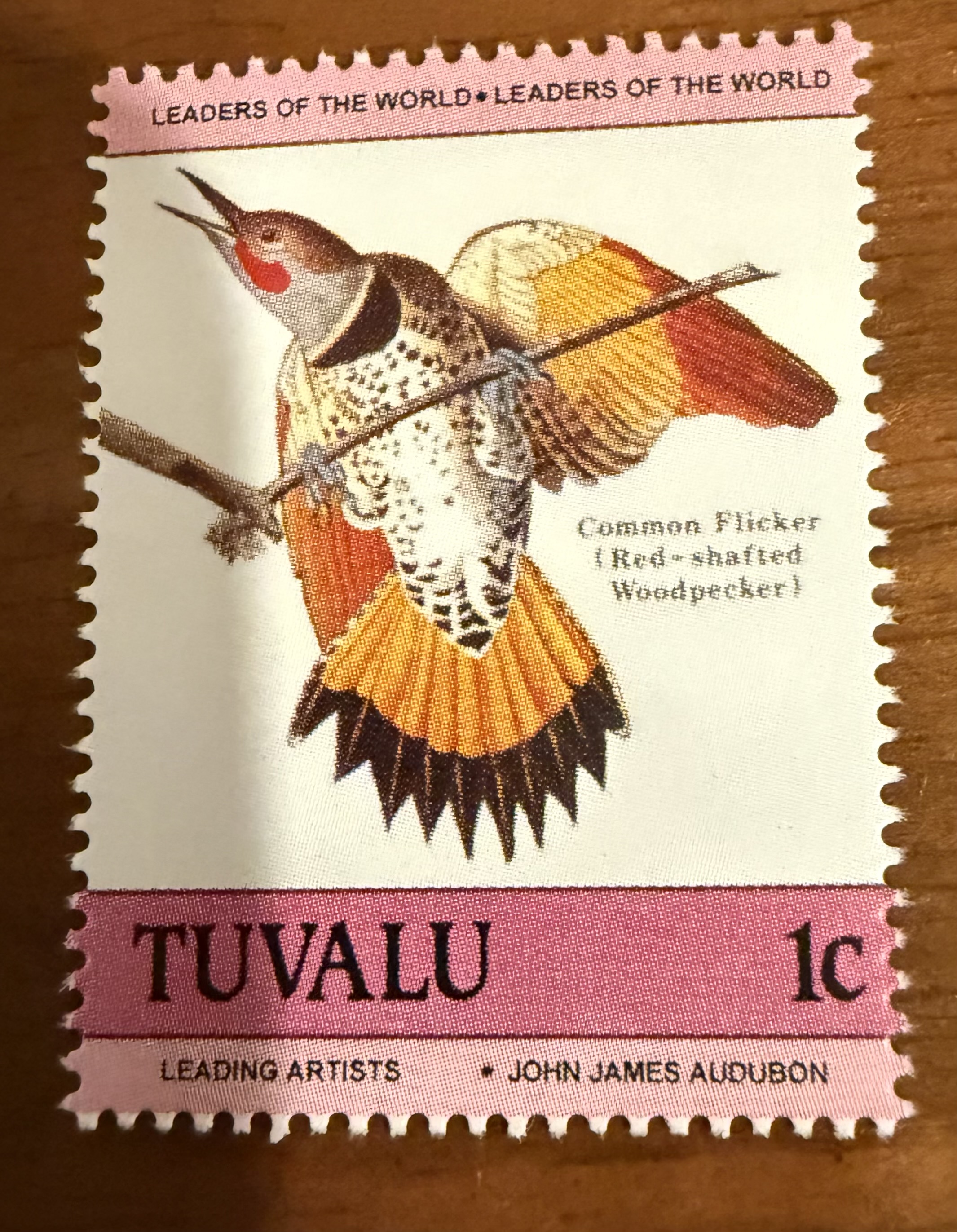 Common Flicker (Red-shafted Woodpecker), Tuvalu, 1986