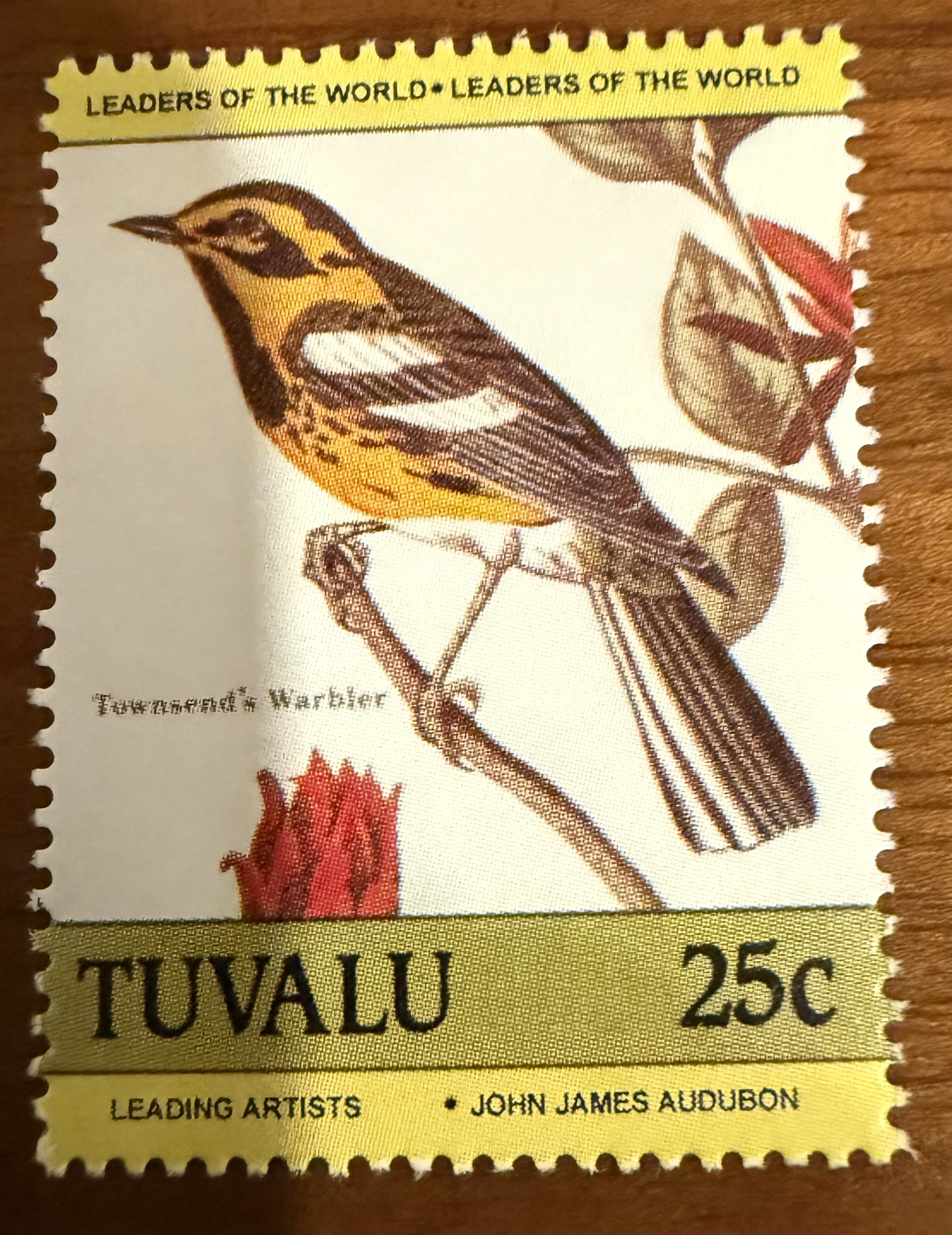 Blackburnian Warbler, Tuvalu, 1986