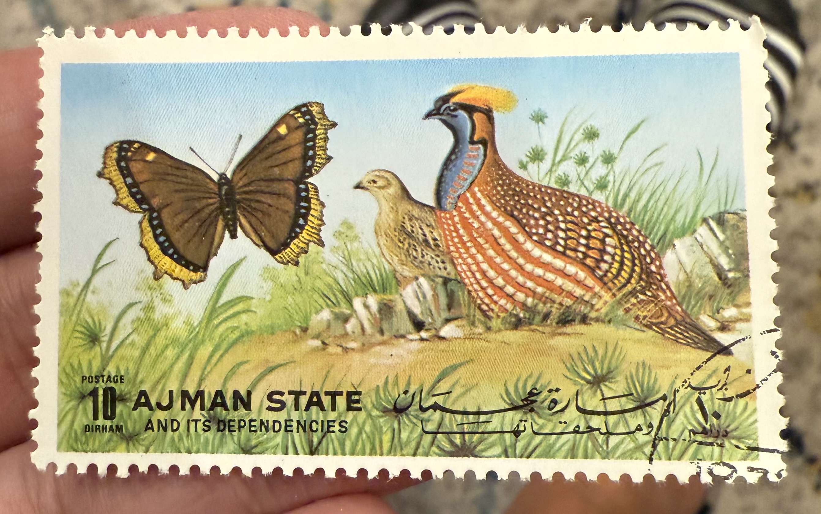 Chukar Partridge, Ajman State, 1969