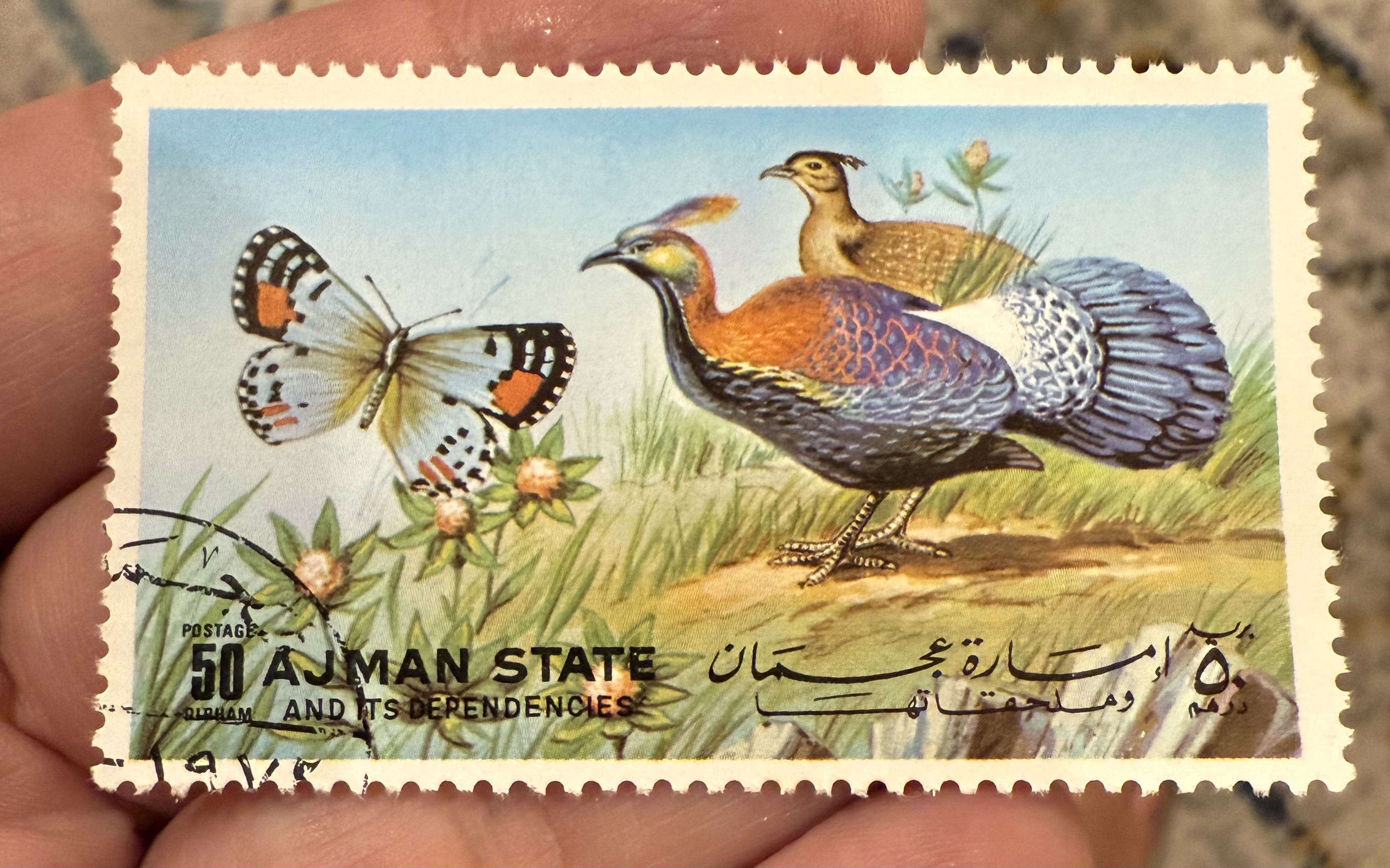 Himalayan Monal, Ajman State, 1969