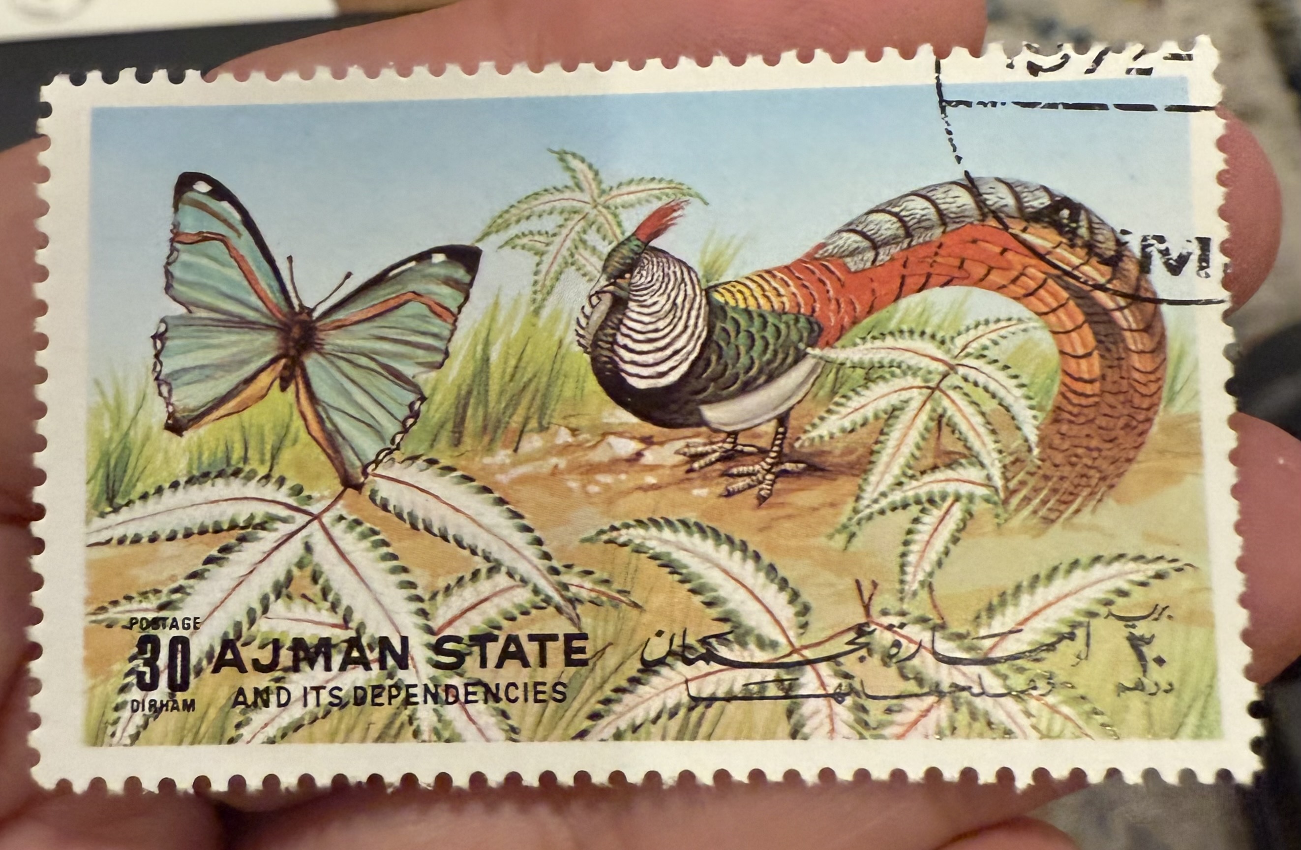 Golden Pheasant, Ajman State, 1969