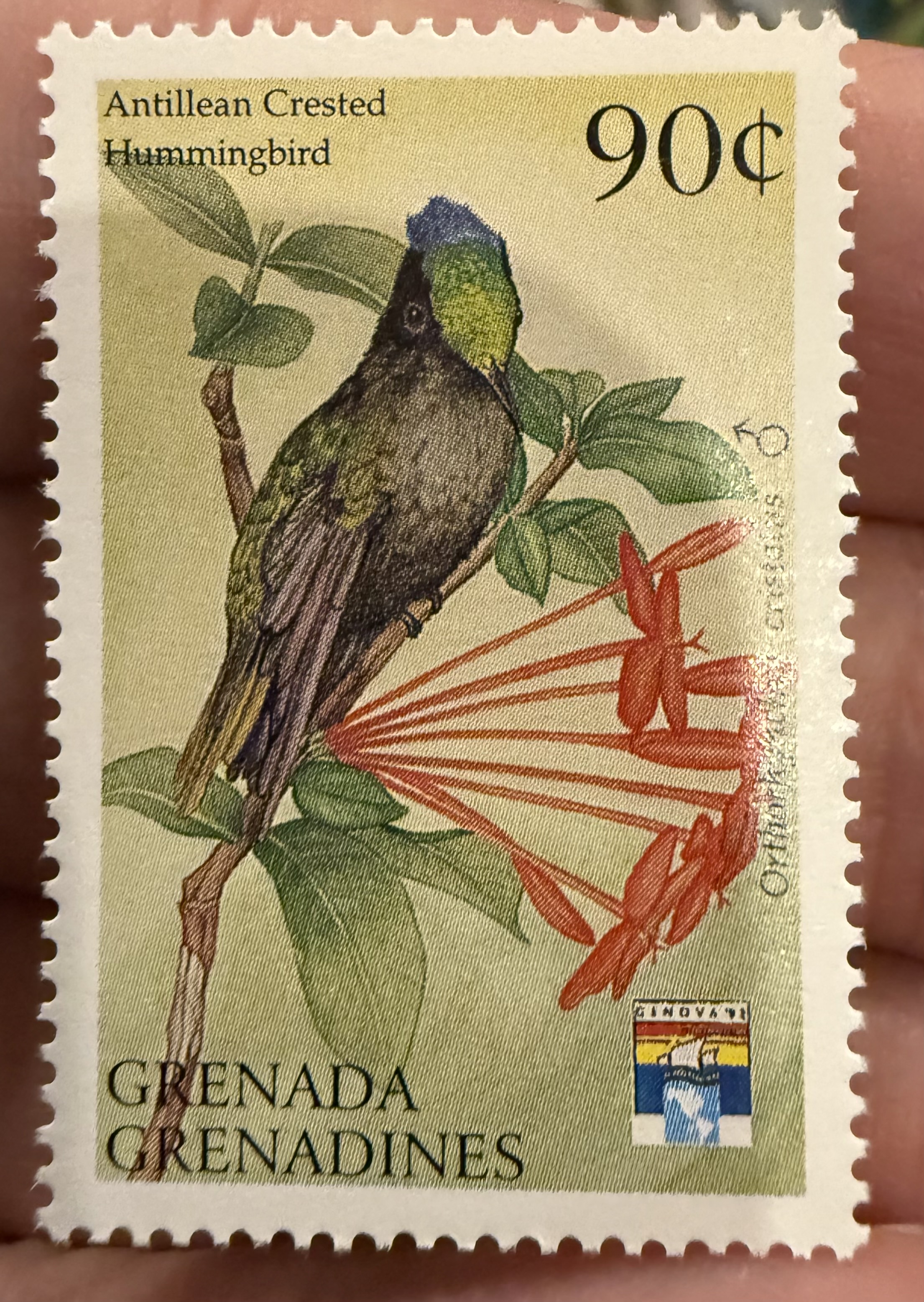 Antillean Crested Hummingbird, Grenada Grenadines, 1975