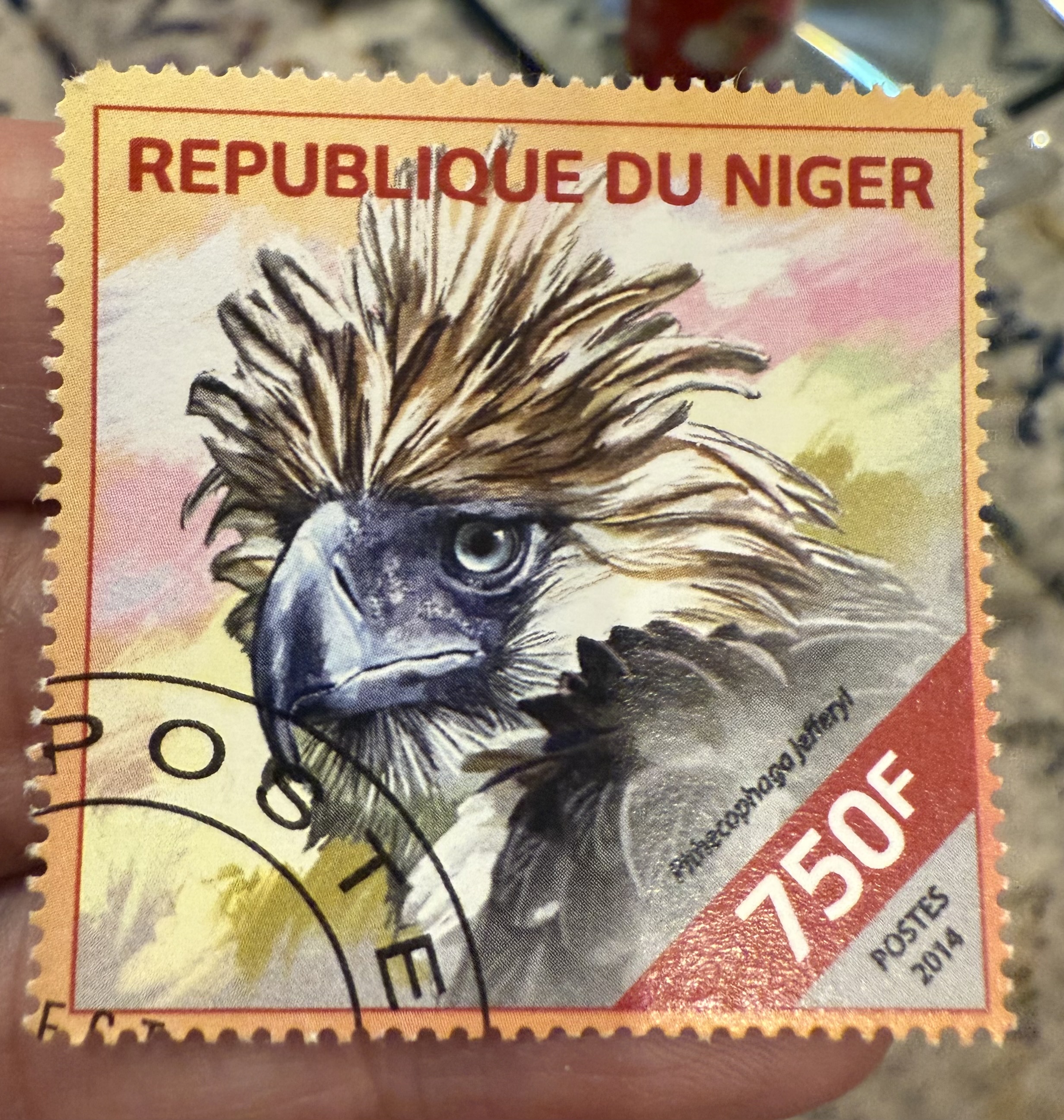 Philippine Eagle, Niger, 2014