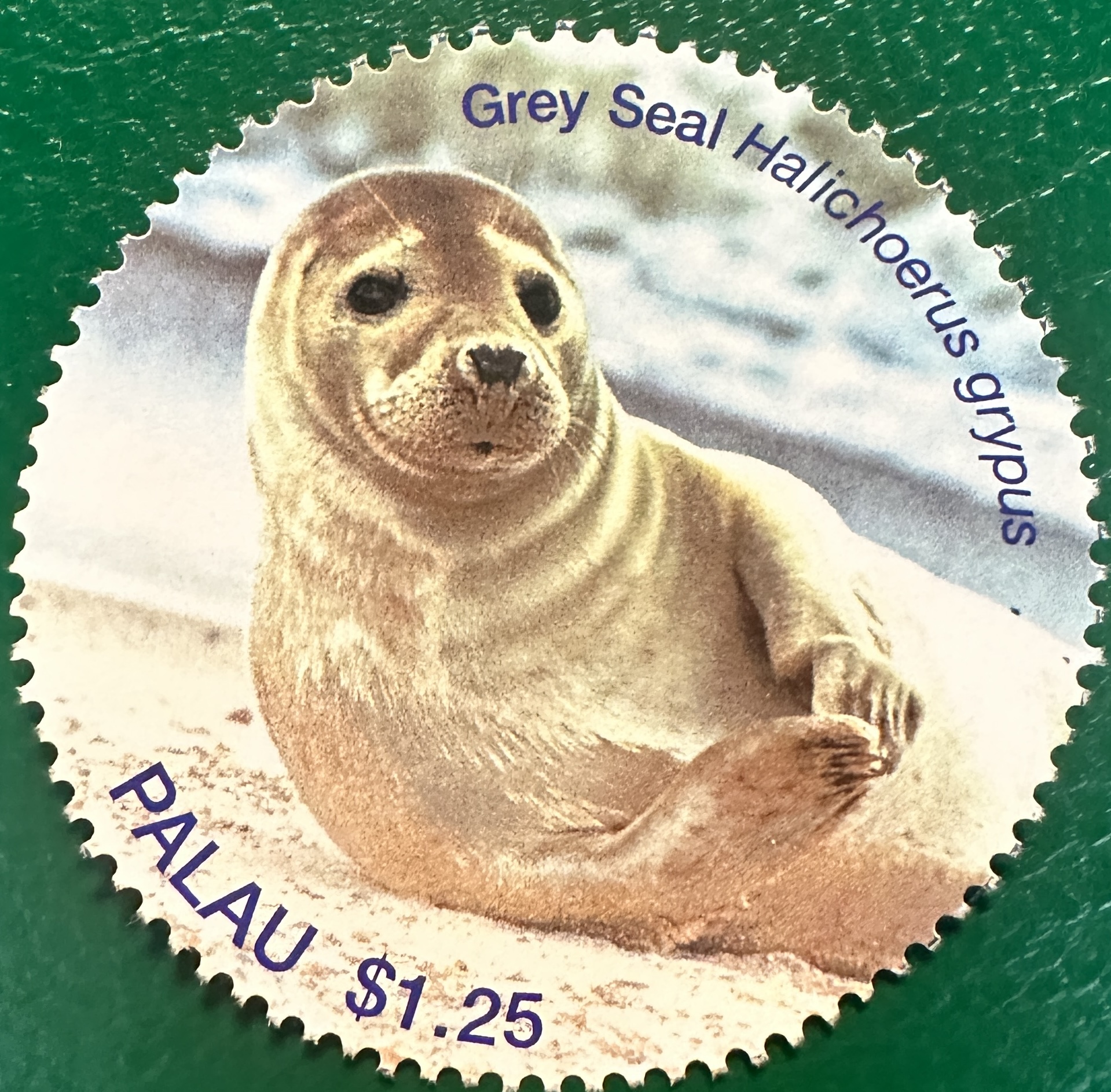 Seals of the World 5