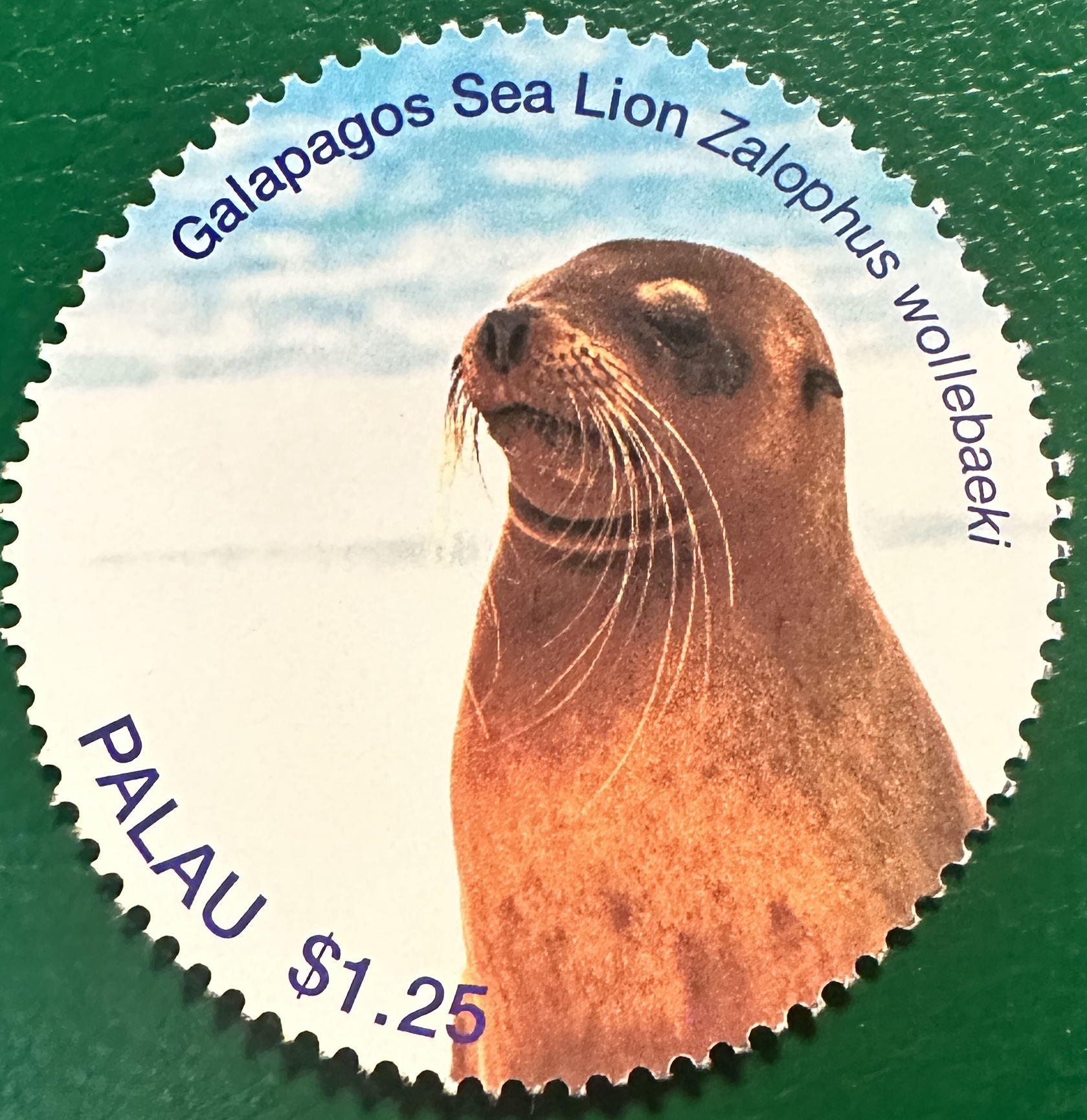 Seals of the World 4