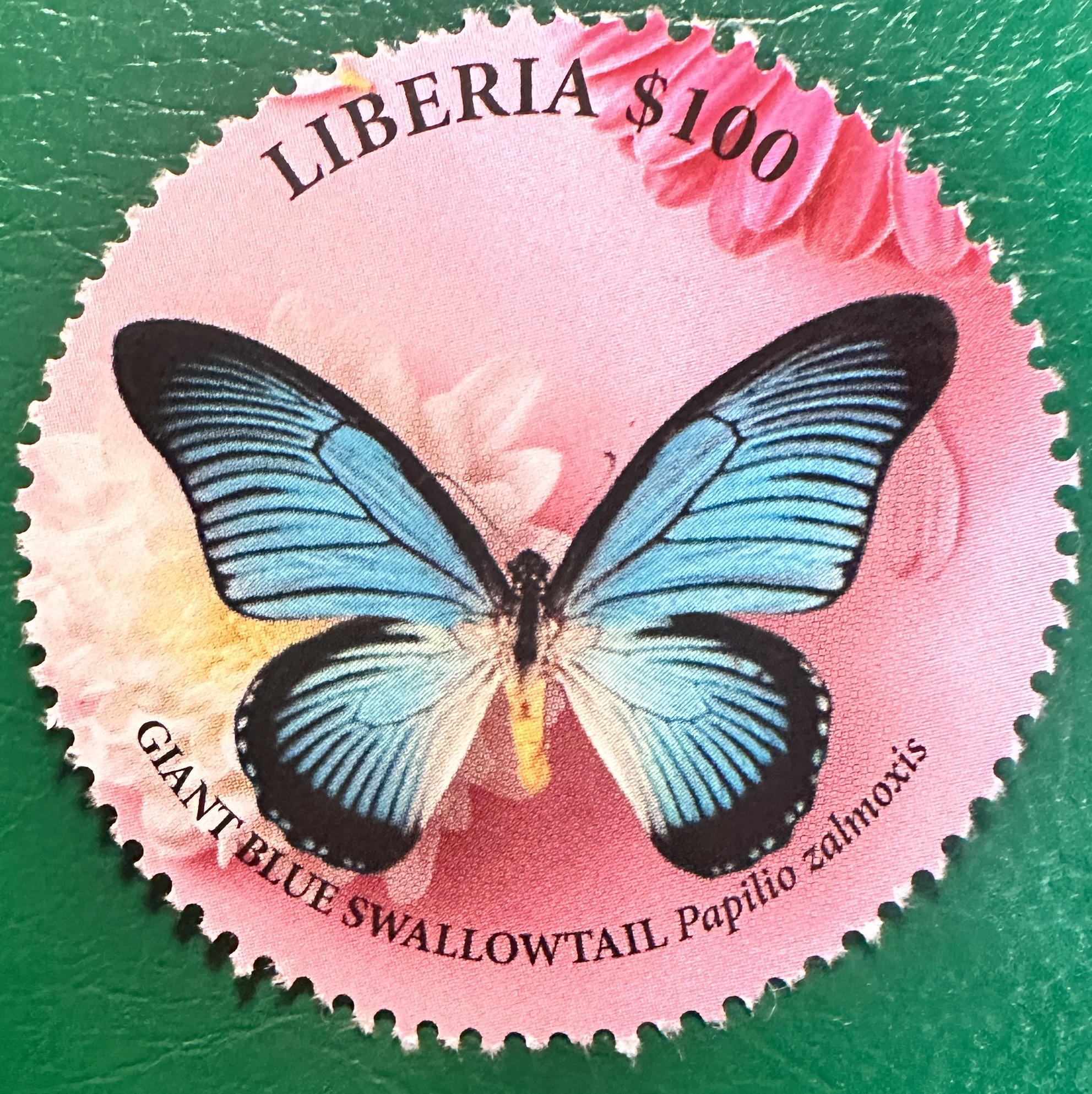 Liberia Butterfly Round 3