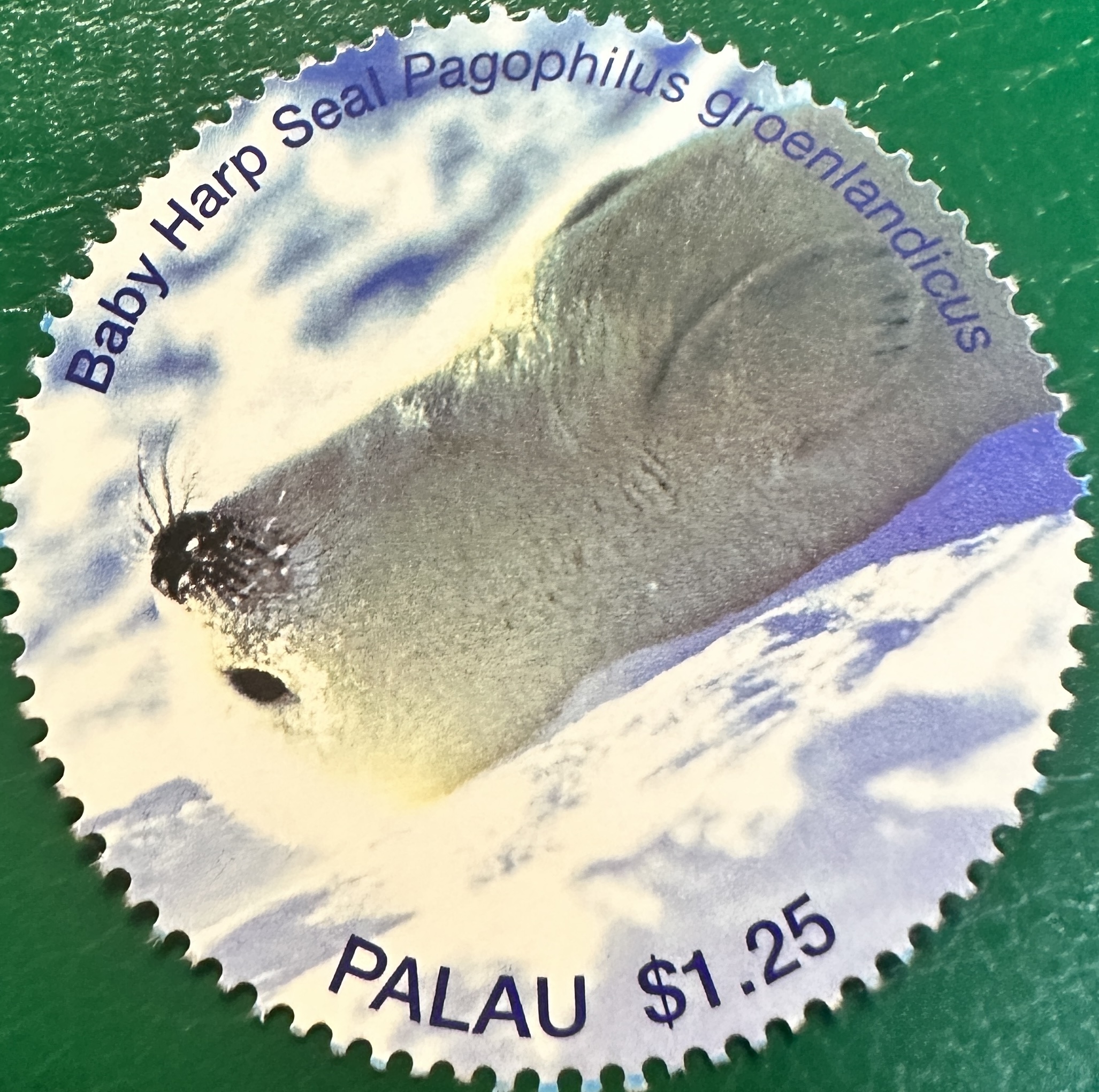 Seals of the World 2