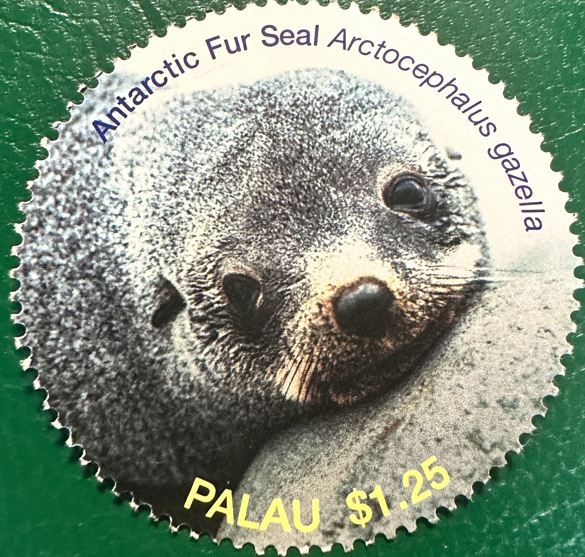 Seals of the World 1