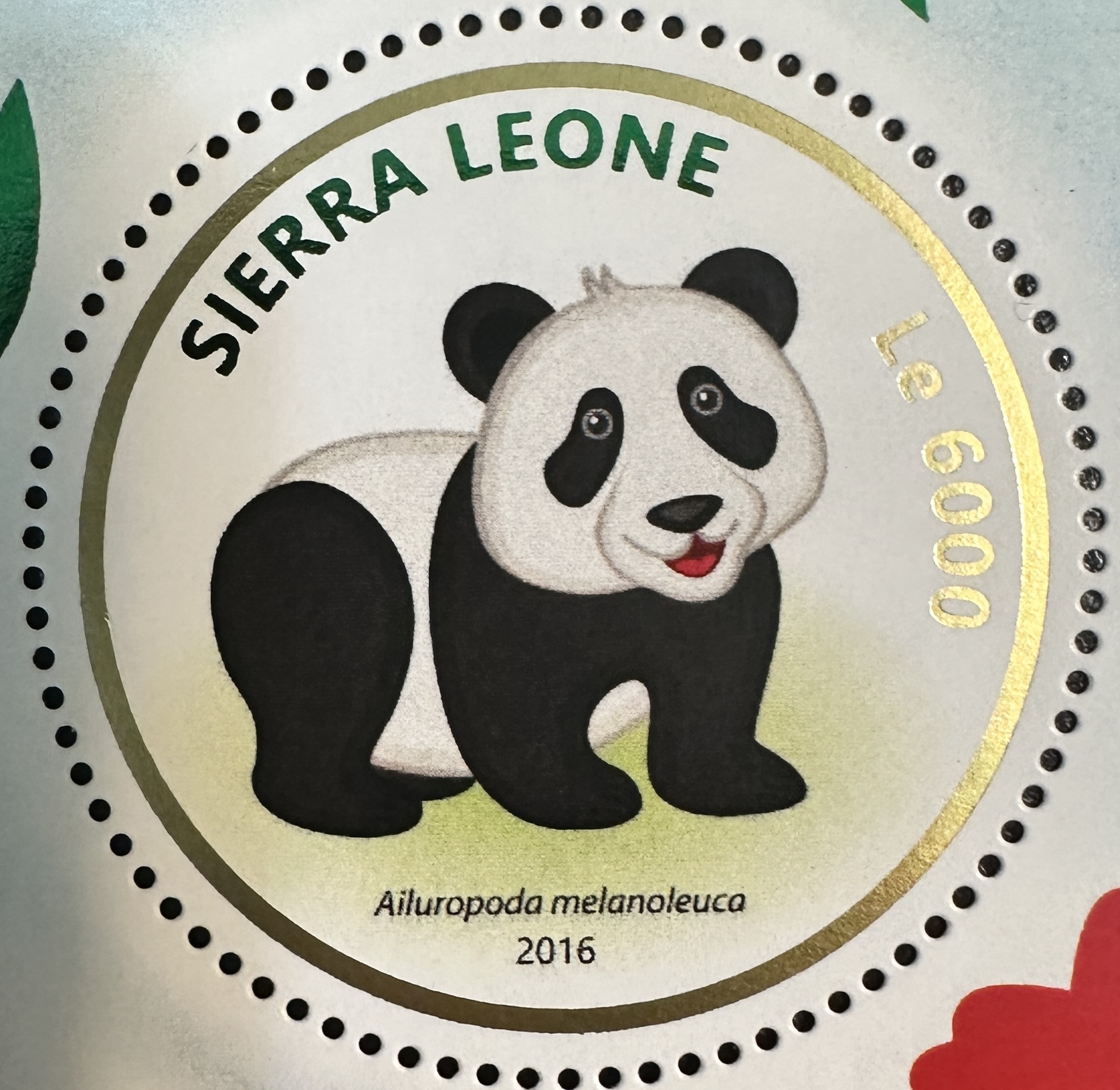 Sierra Leone Panda 4