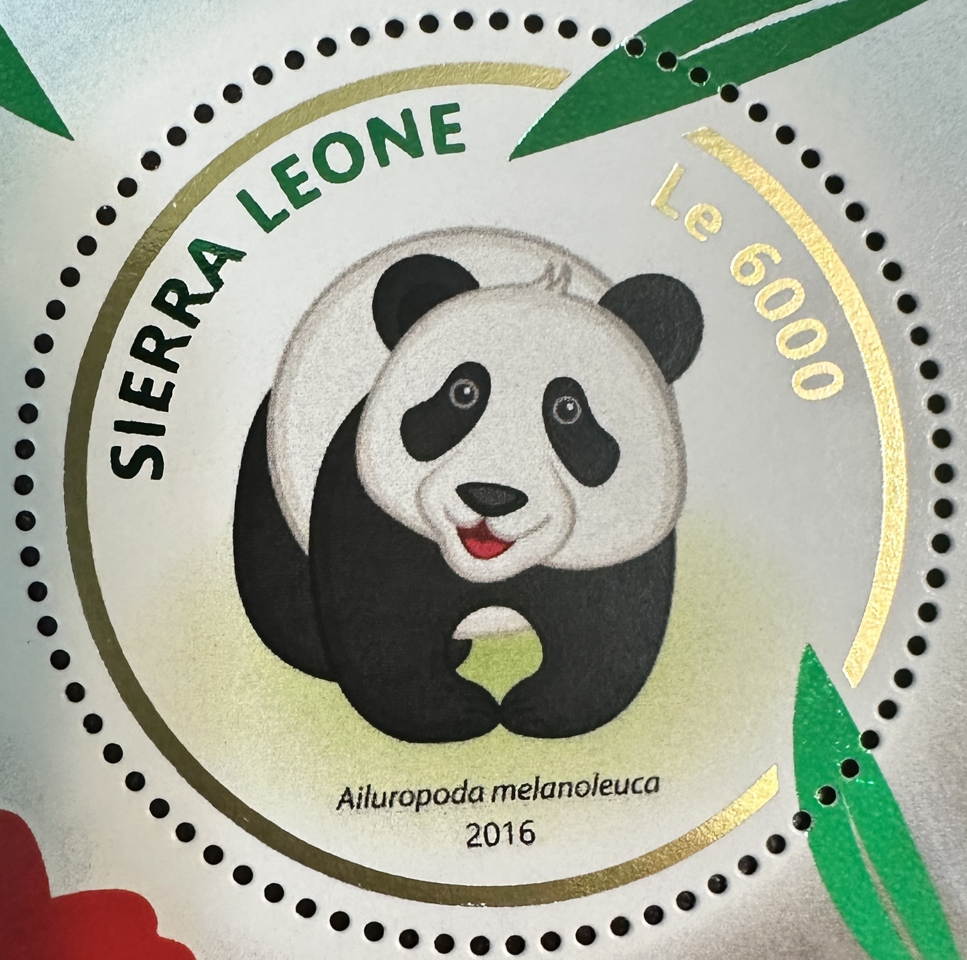 Sierra Leone Panda 3