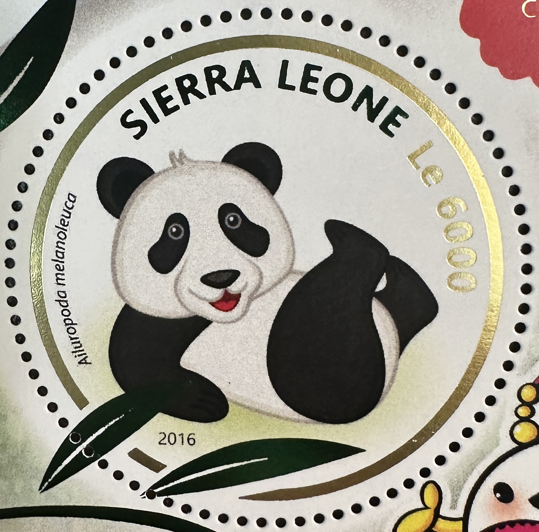 Sierra Leone Panda 2