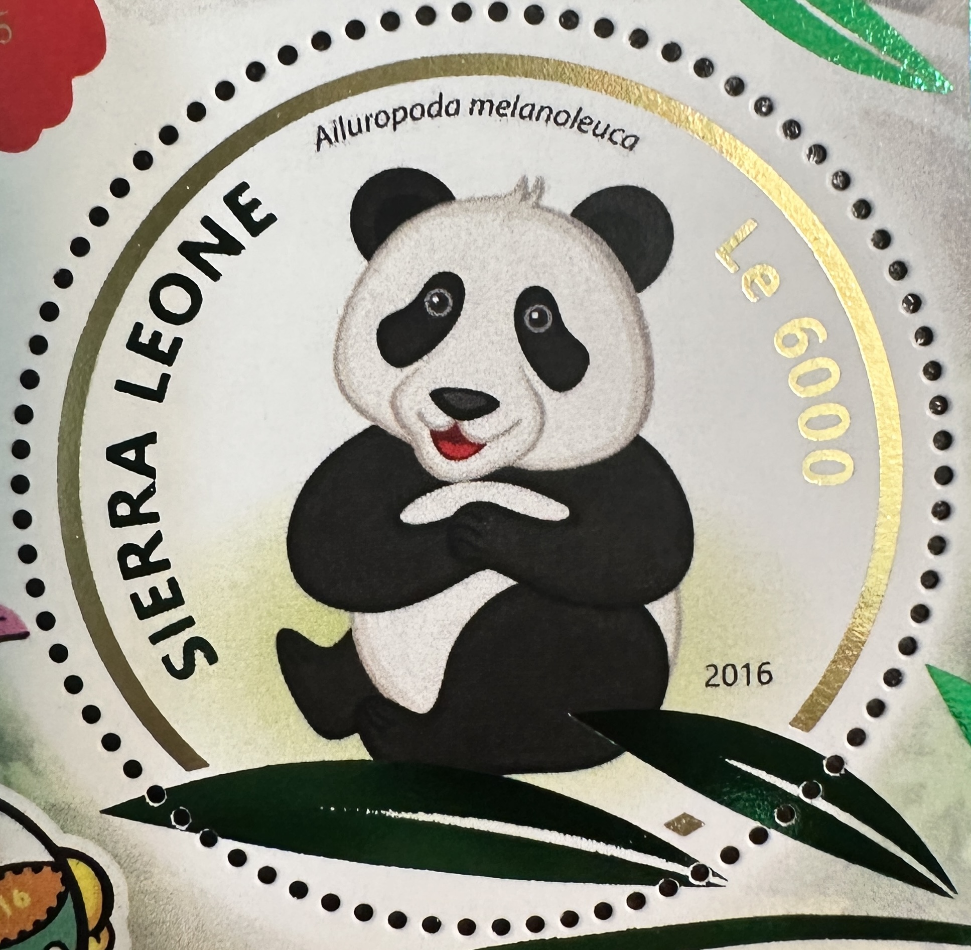 Sierra Leone Panda 1