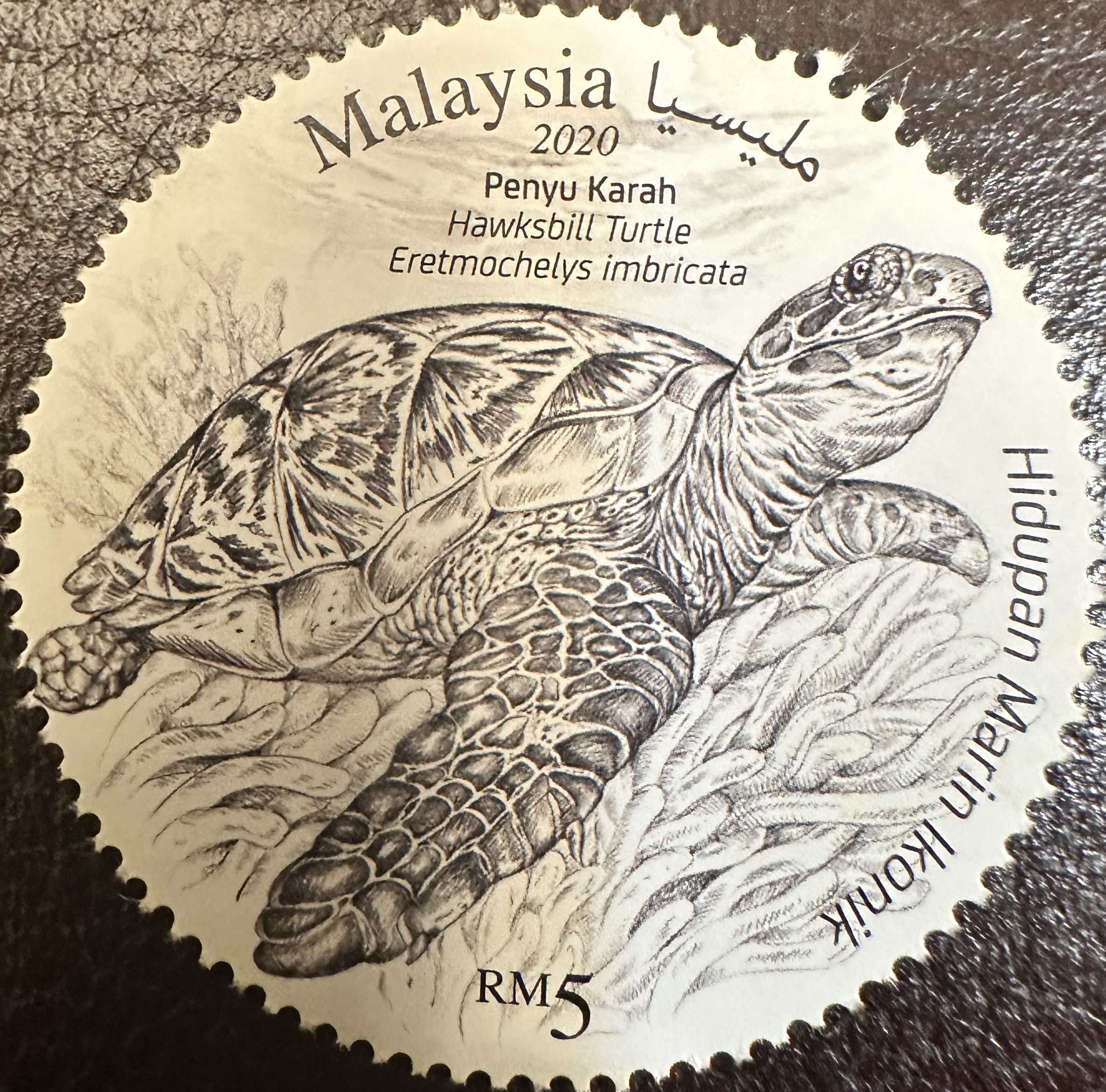 Malaysia Marine Life