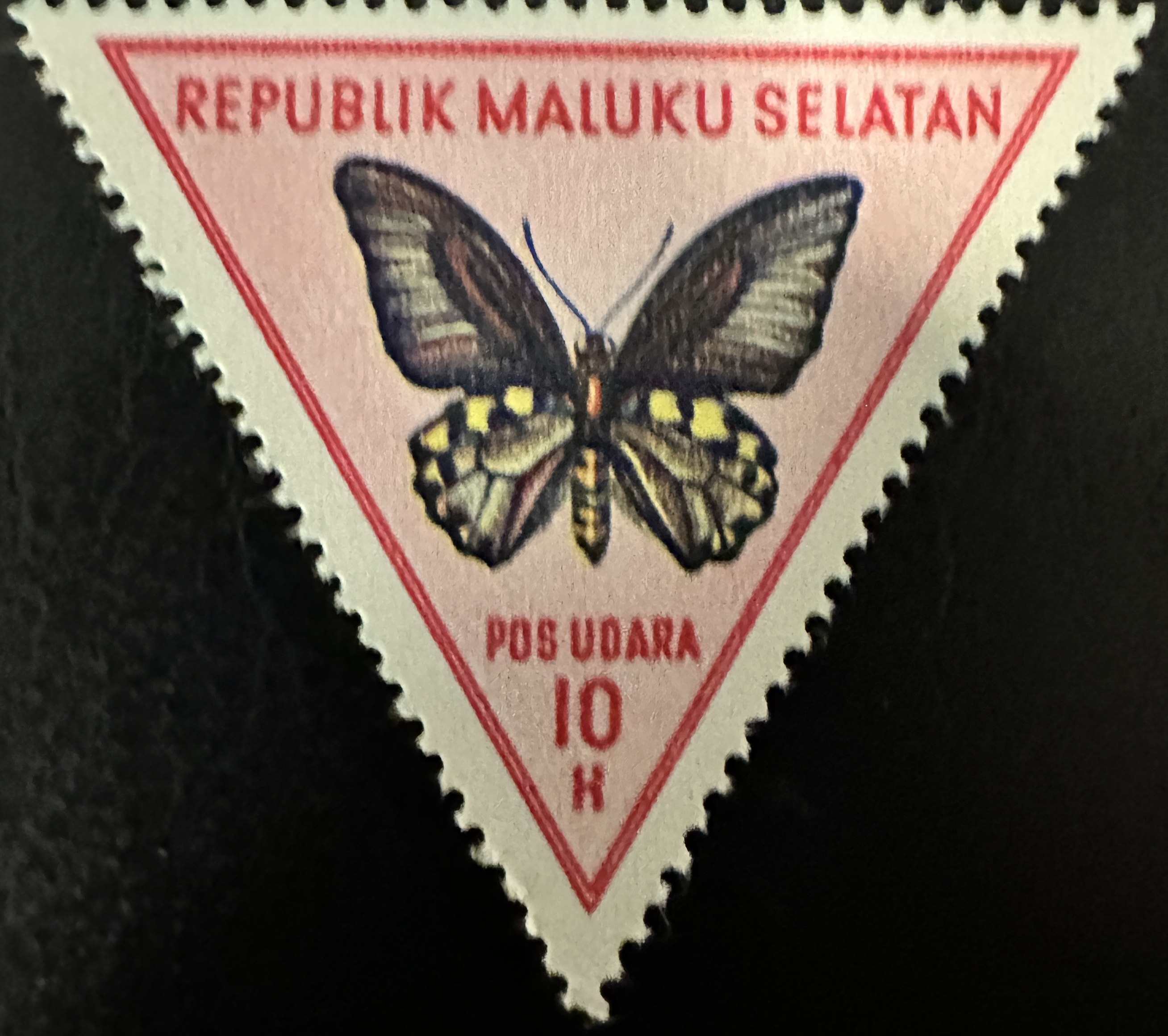 Meluku Selatan 5