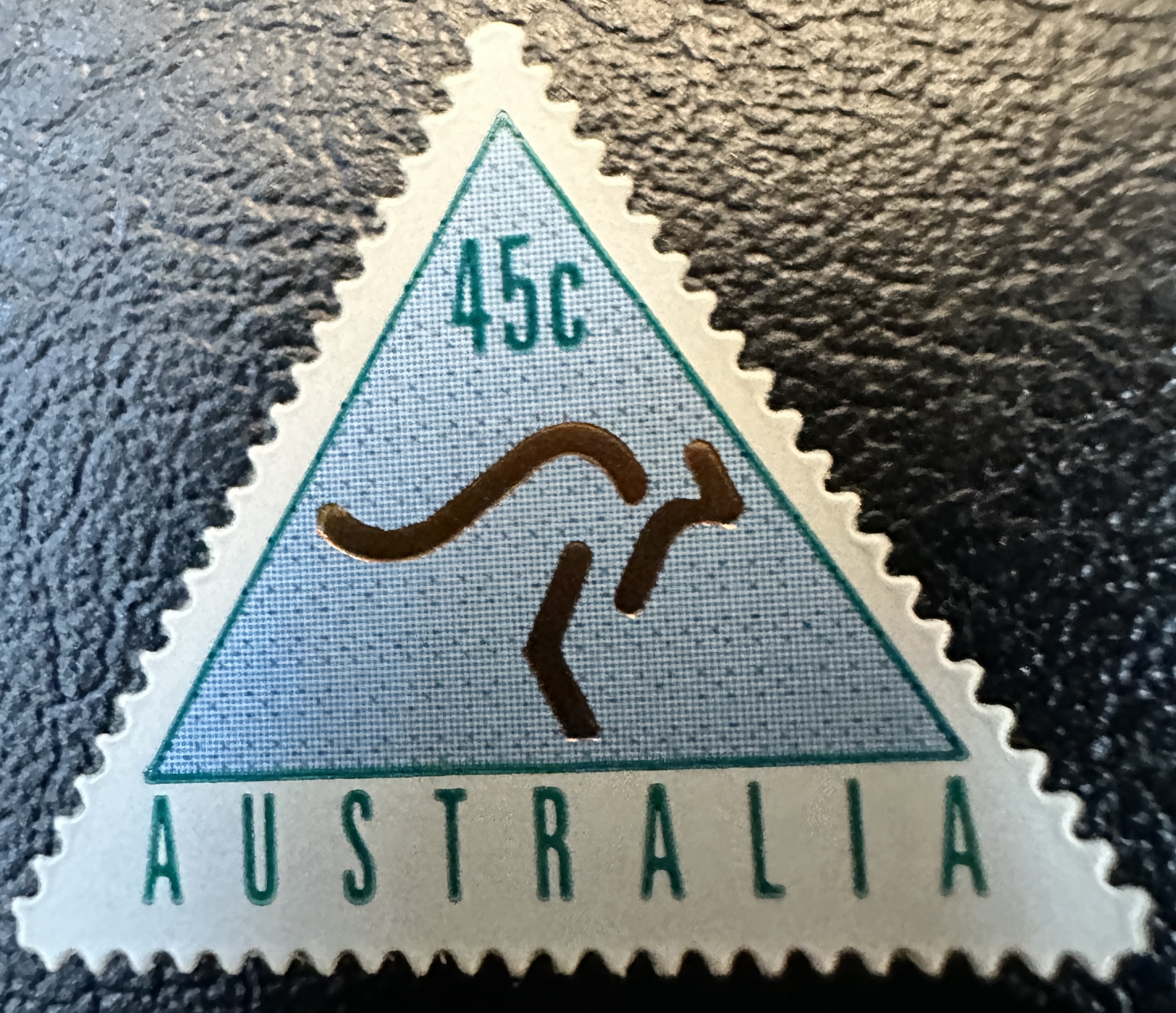 Kangaroo 5