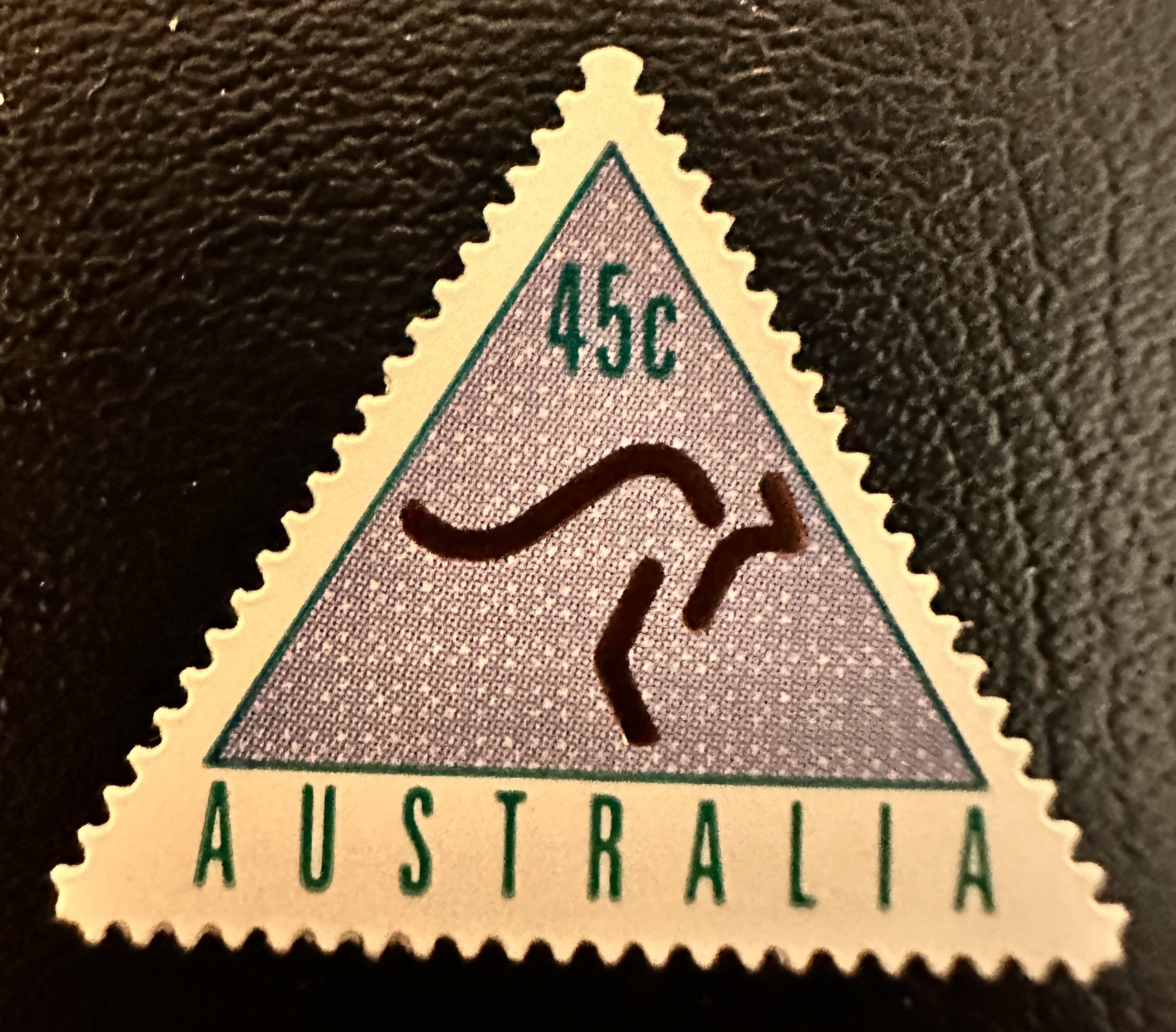 Kangaroo1