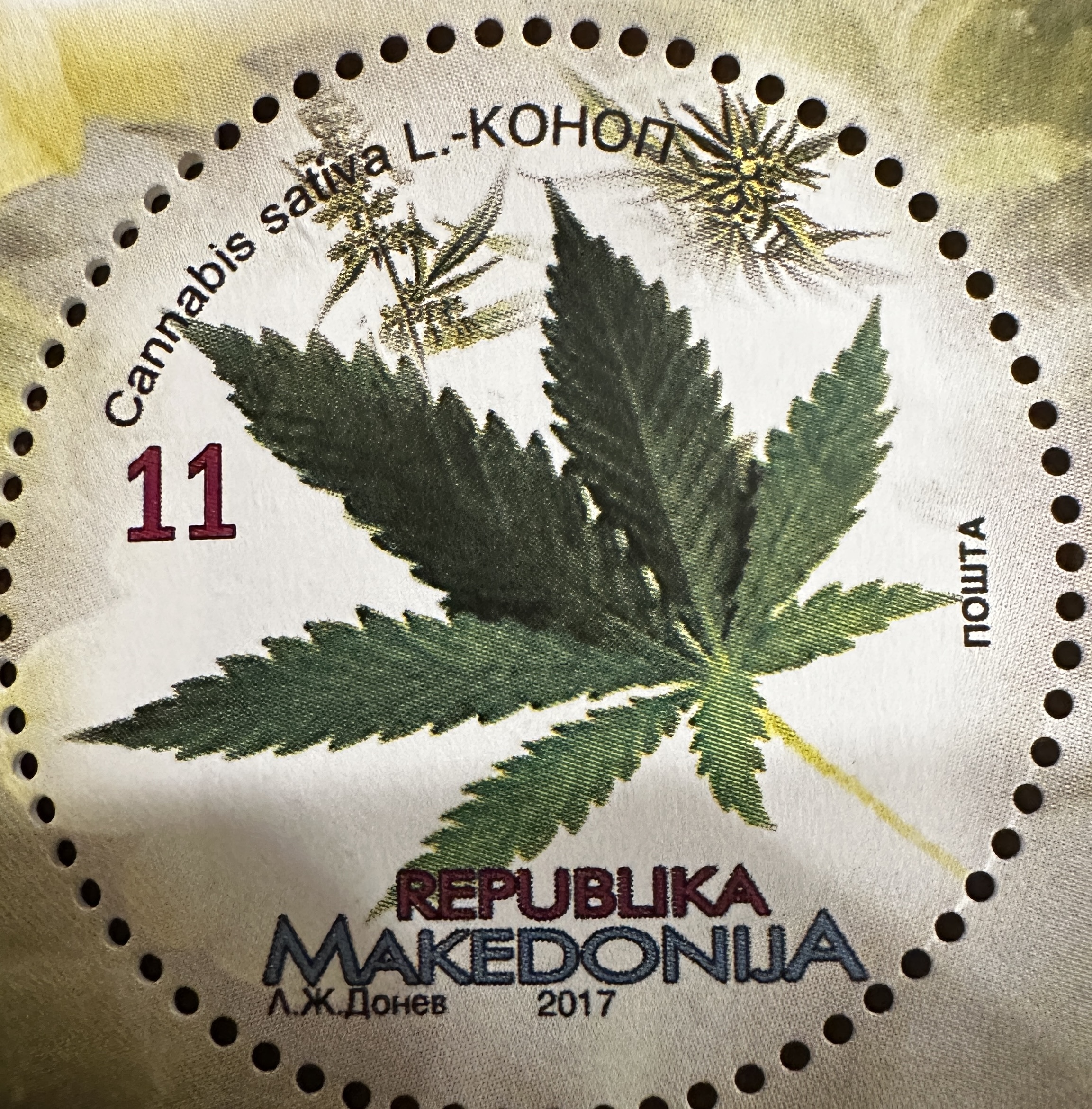 Macedonia Cannabis