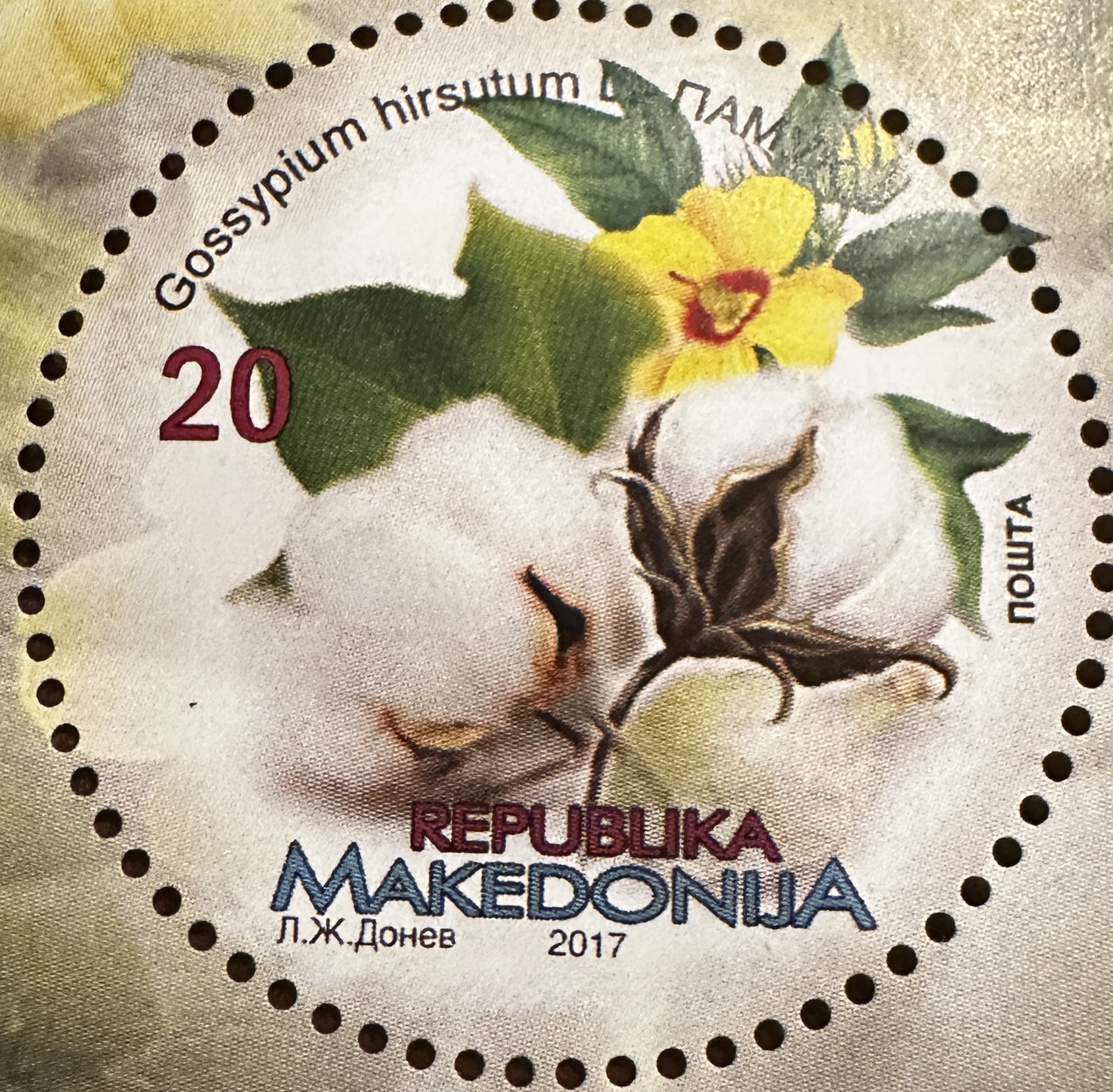 Macedonia Round Flowers 3